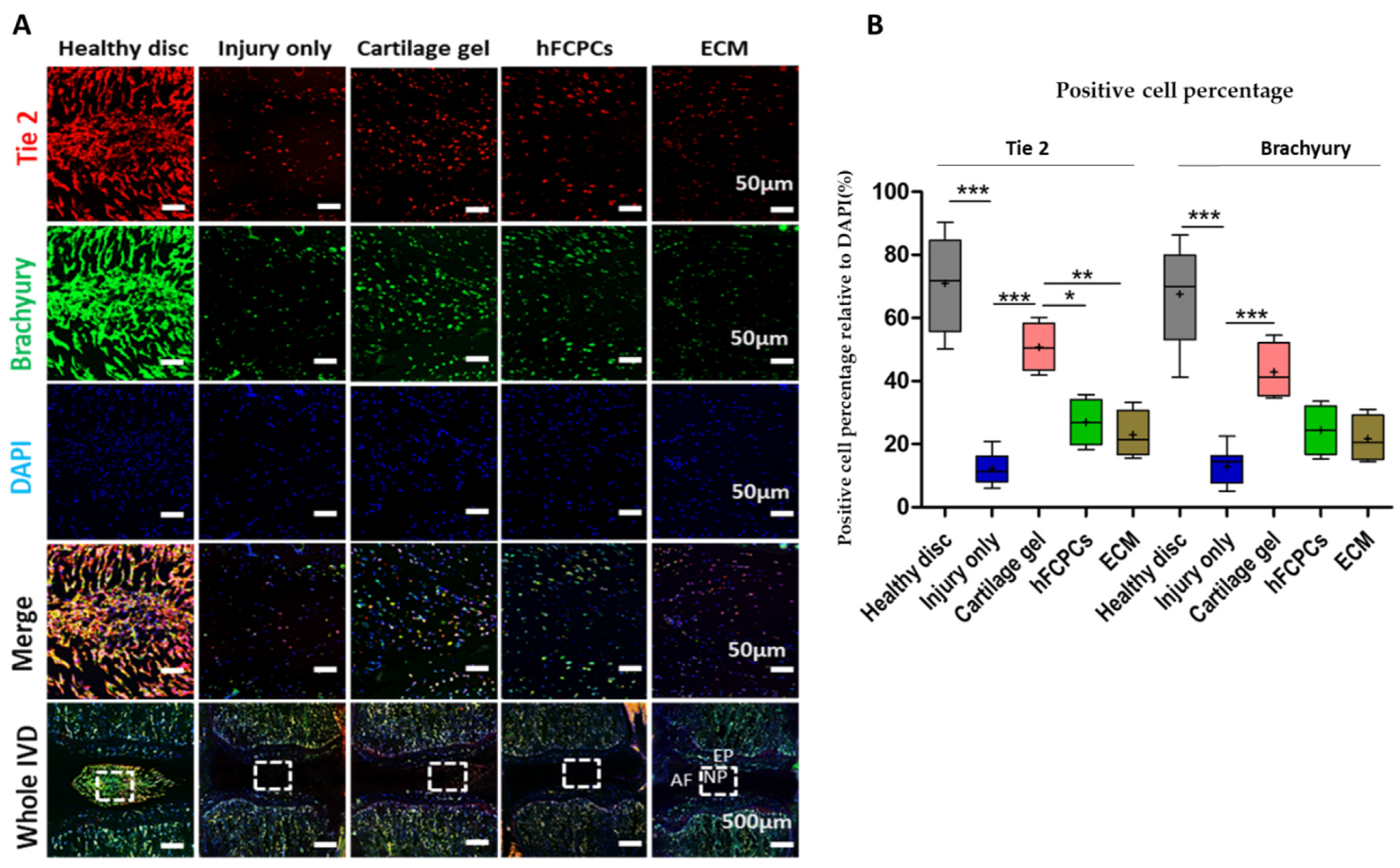 Ijms 24 03146 g004 Ijms 24 03146 g004