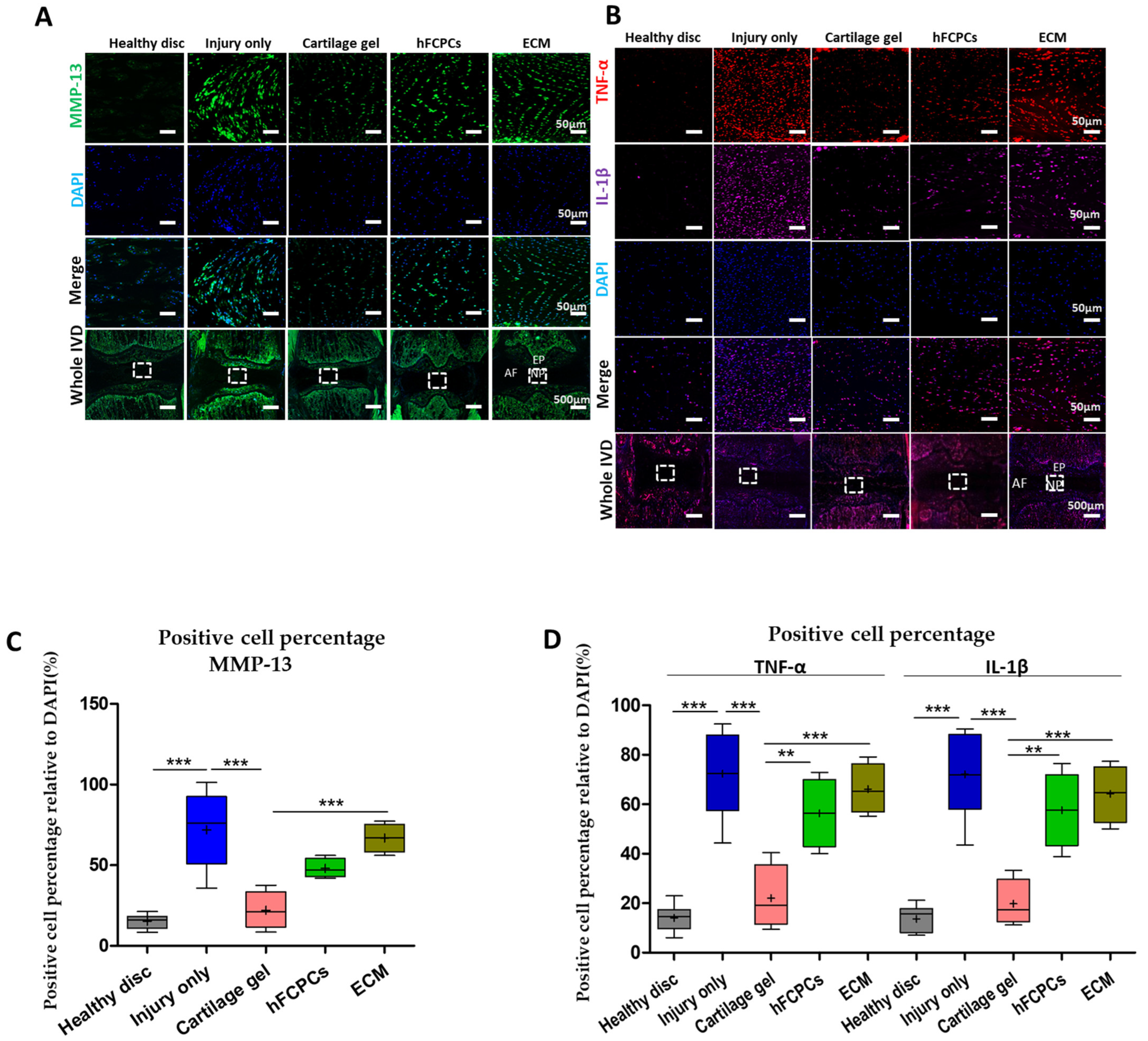 Ijms 24 03146 g006 Ijms 24 03146 g006