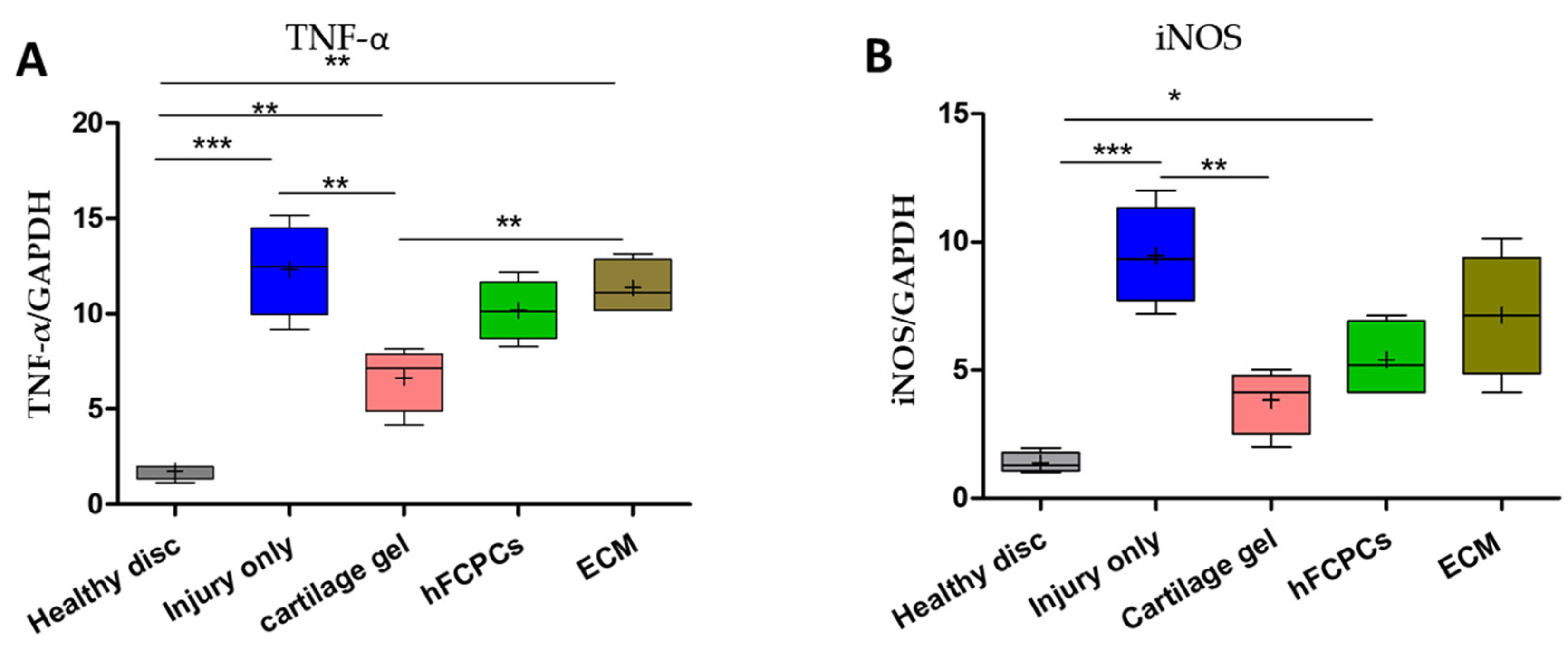 Ijms 24 03146 g008 Ijms 24 03146 g008