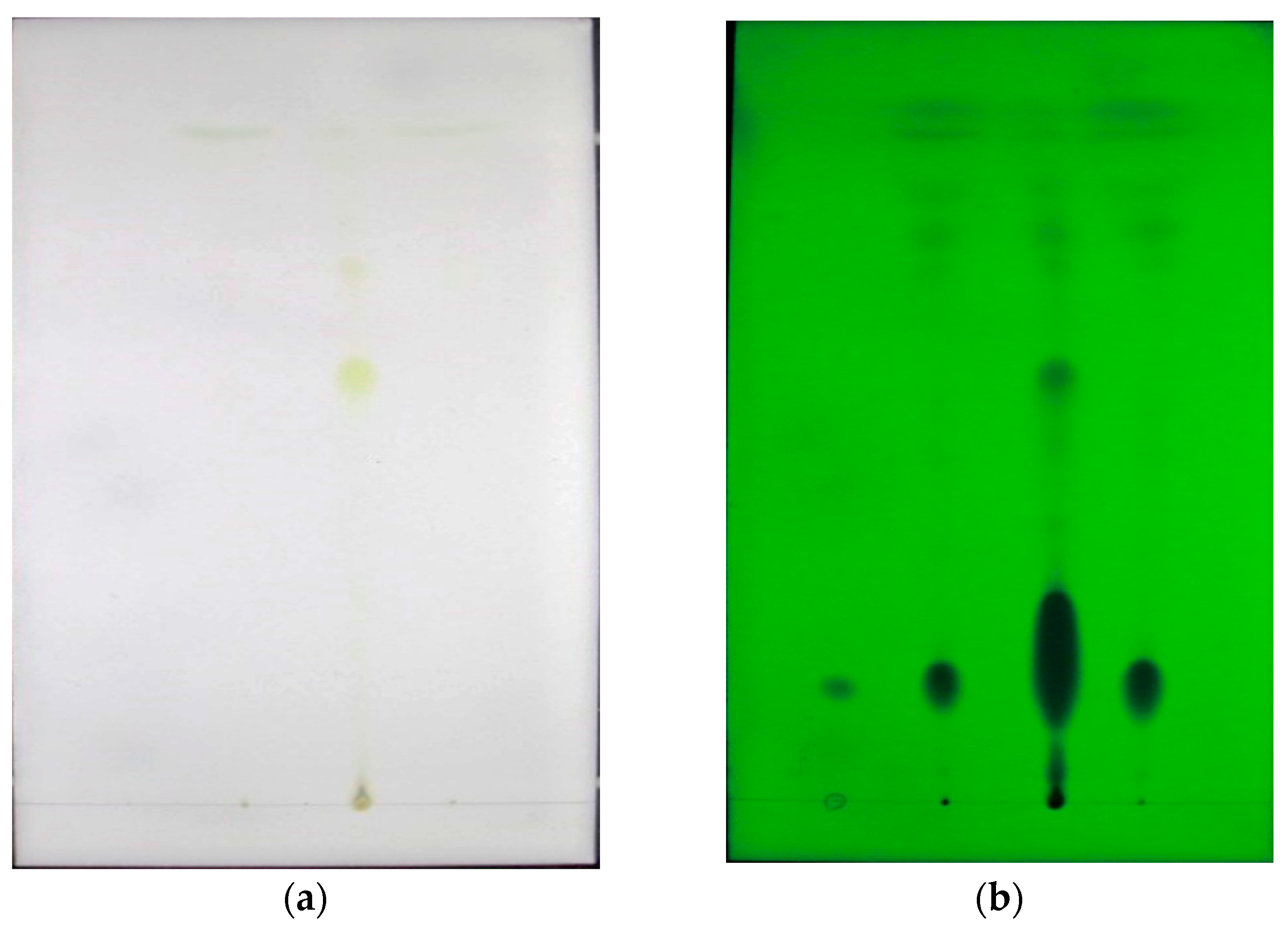 Ijms 24 03156 g002 Ijms 24 03156 g002