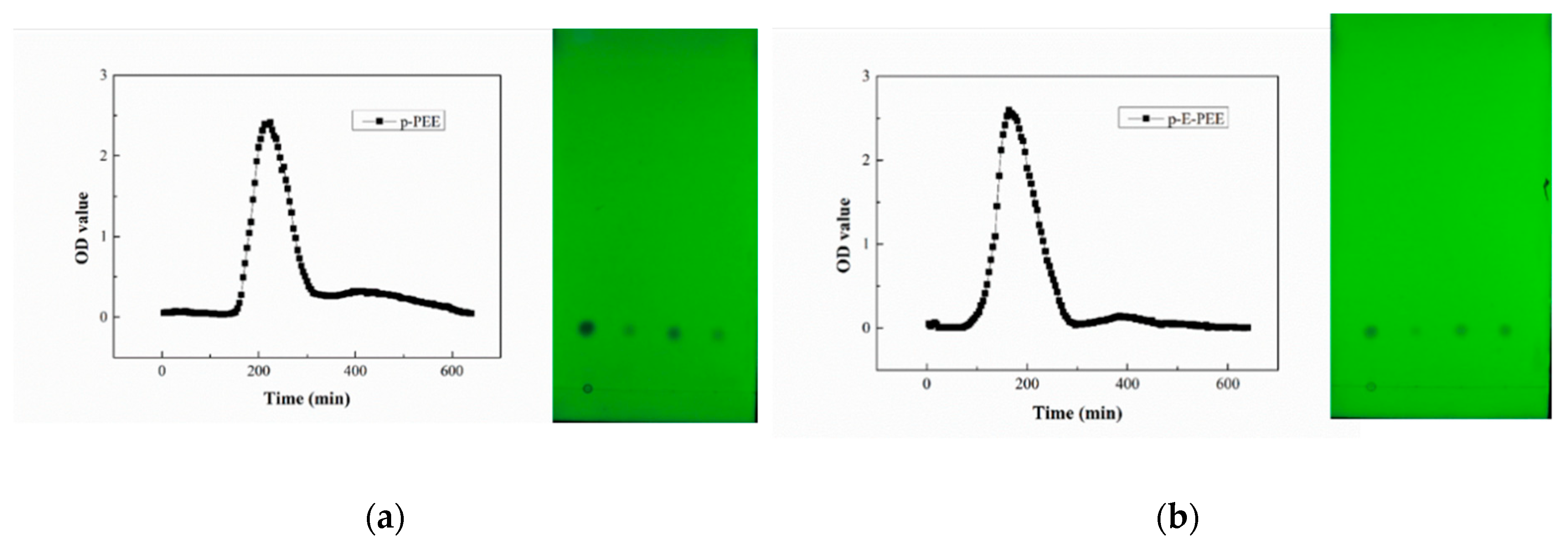 Ijms 24 03156 g003 Ijms 24 03156 g003