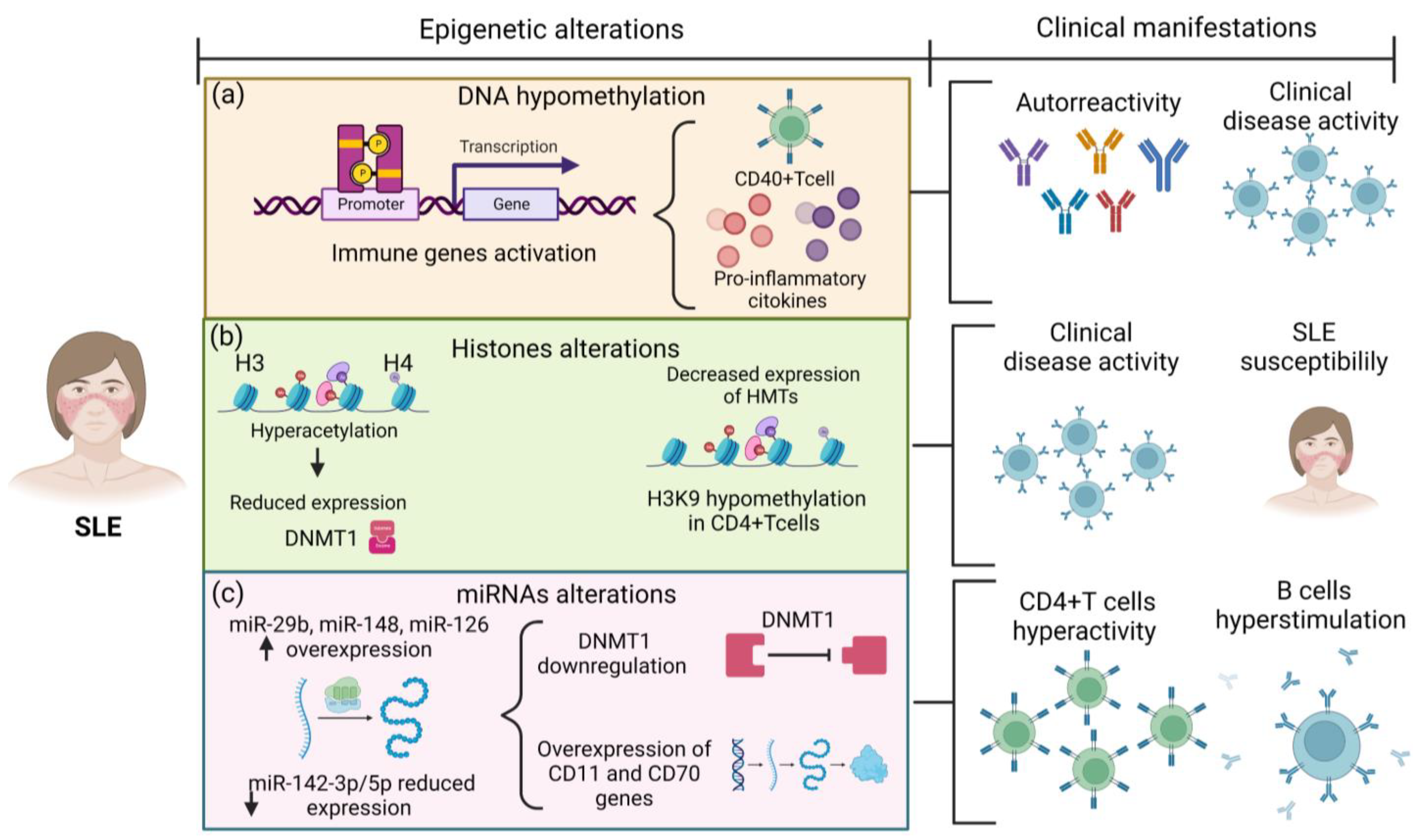 Ijms 24 03171 g001 Ijms 24 03171 g001
