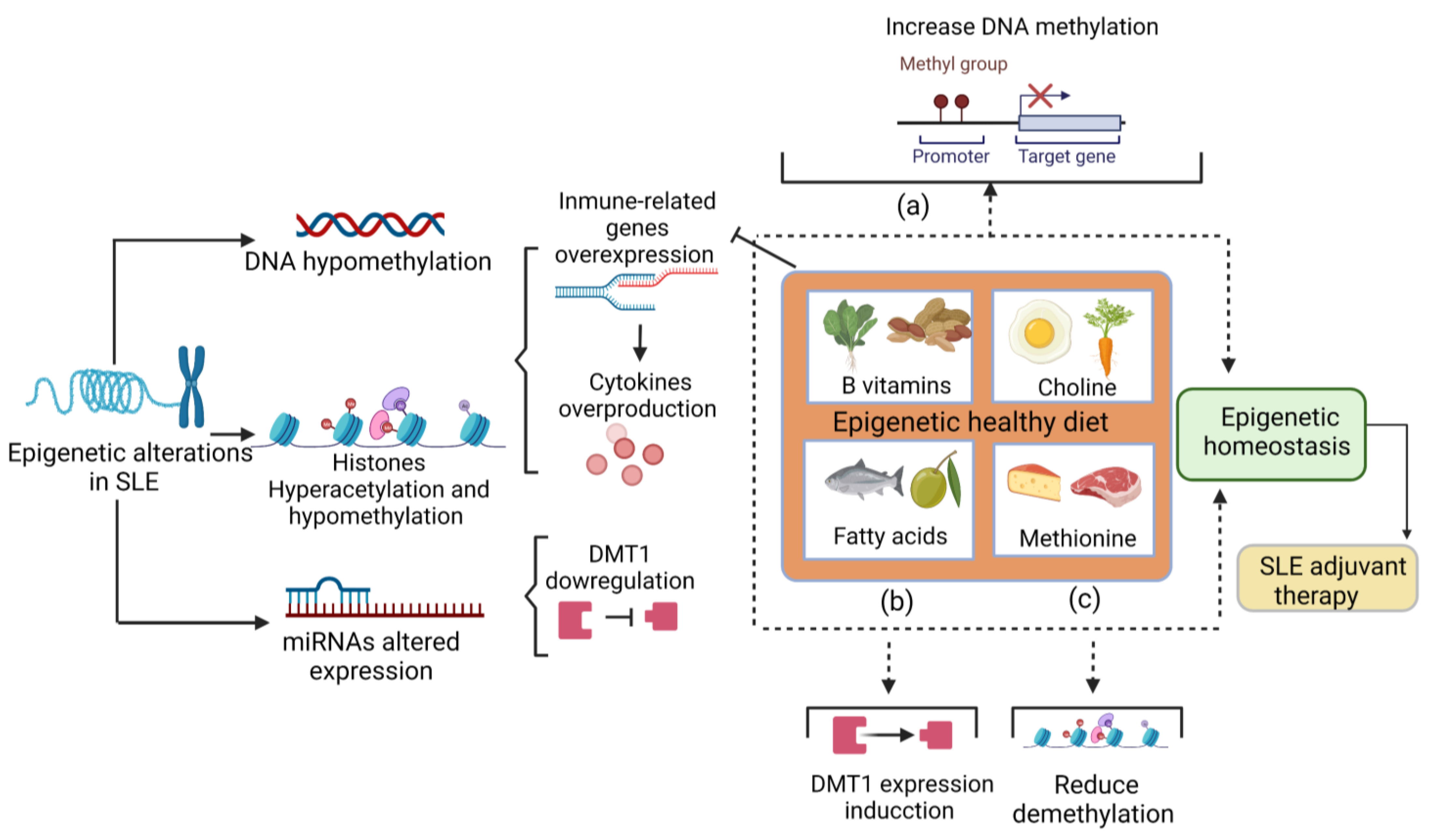 Ijms 24 03171 g002 Ijms 24 03171 g002