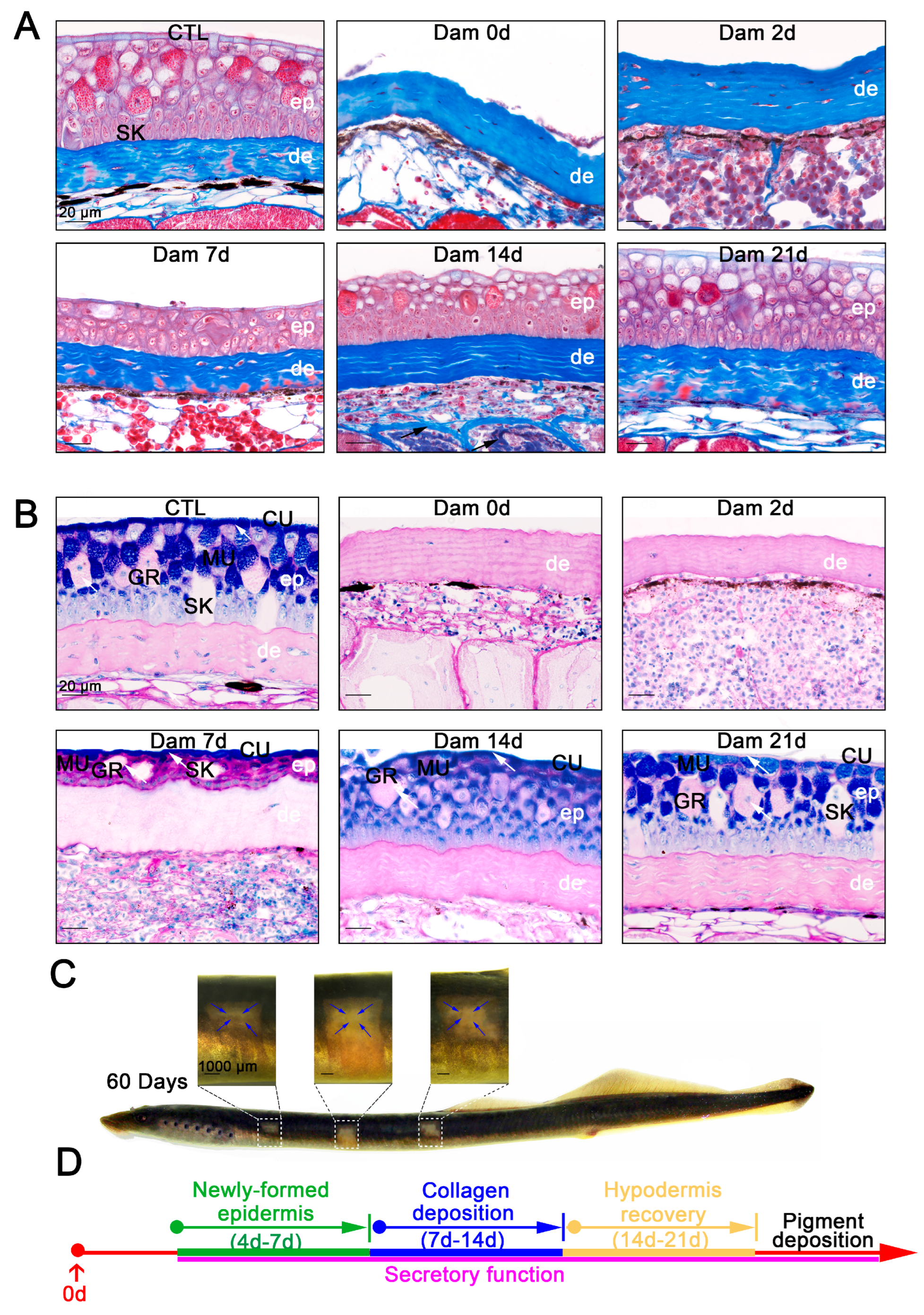 Ijms 24 03213 g002 Ijms 24 03213 g002