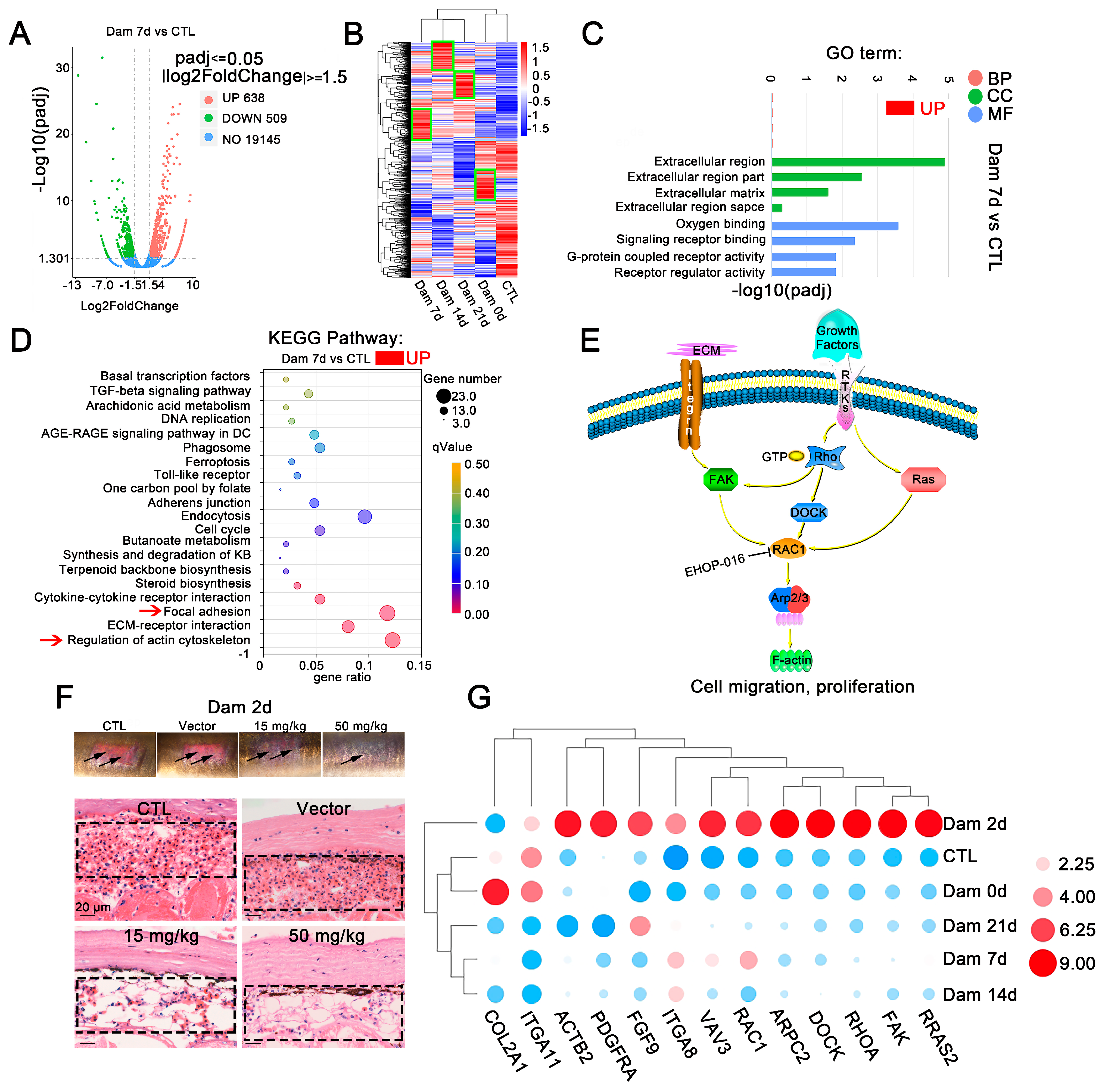 Ijms 24 03213 g003 Ijms 24 03213 g003