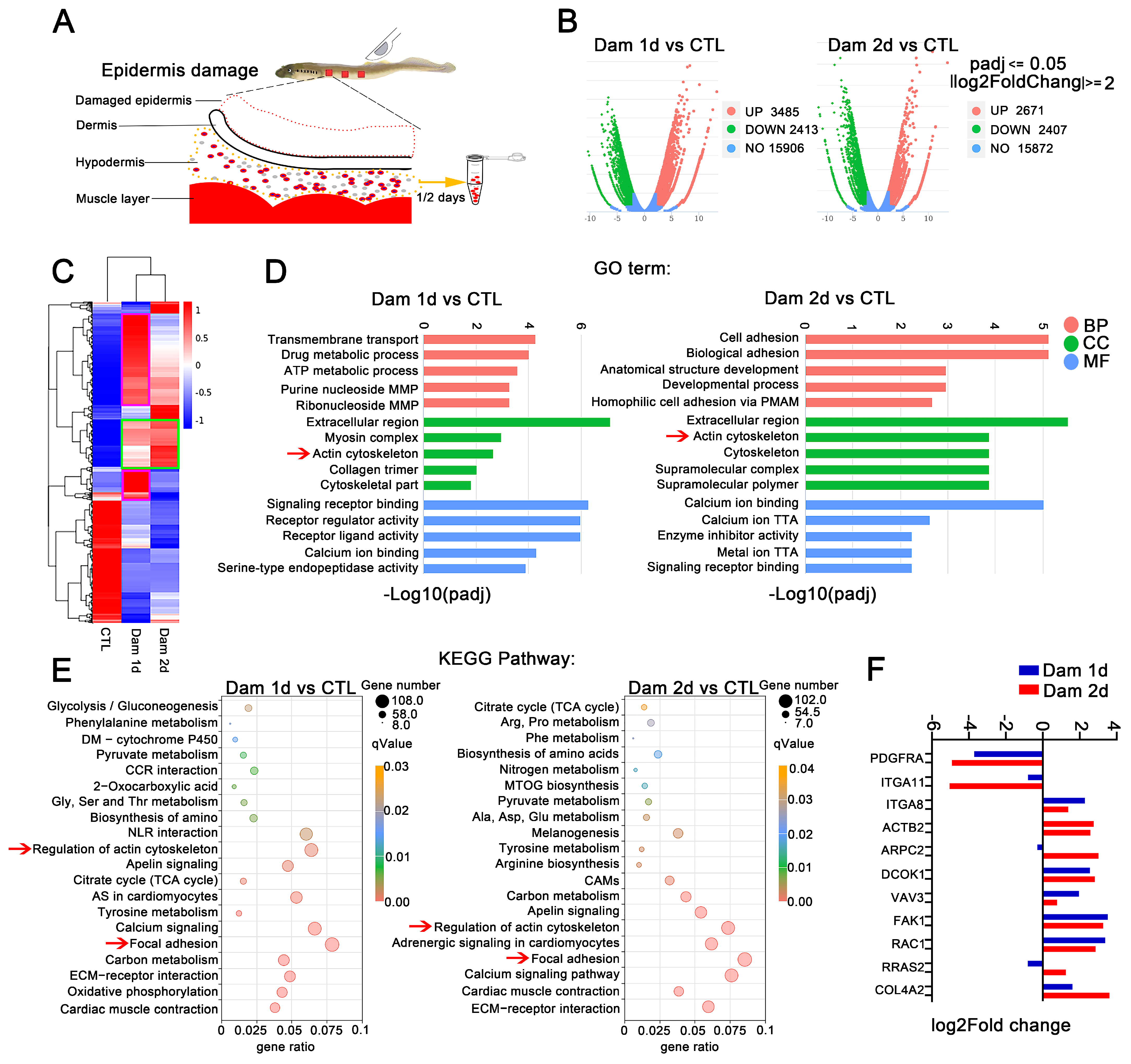 Ijms 24 03213 g004 Ijms 24 03213 g004