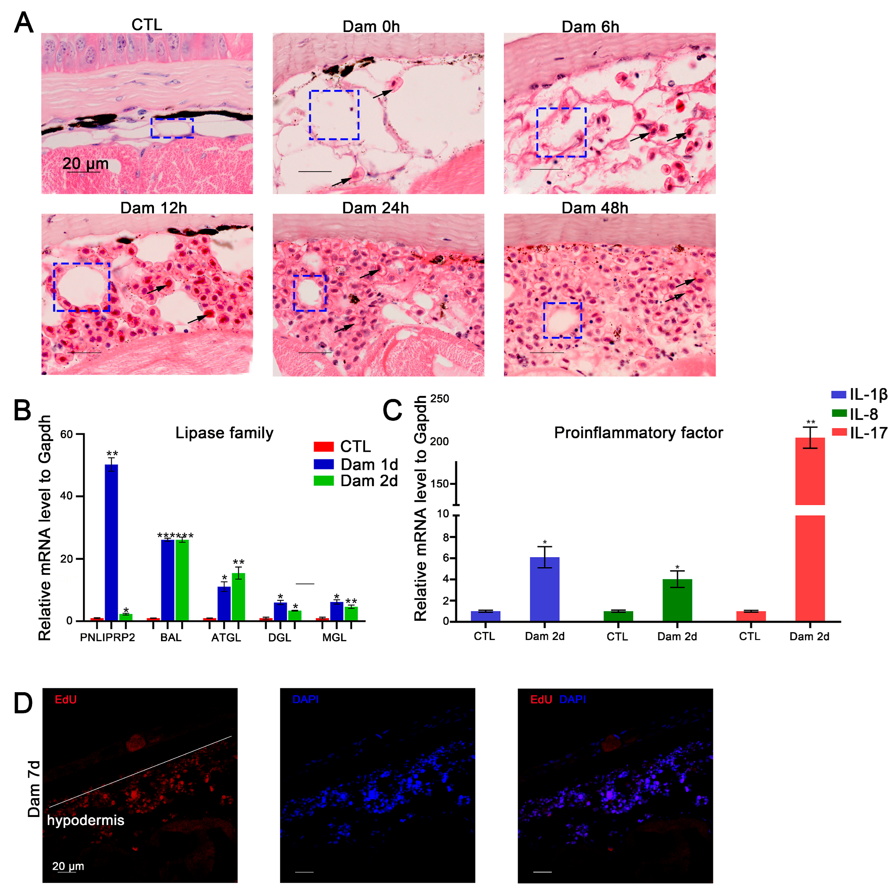 Ijms 24 03213 g005 Ijms 24 03213 g005