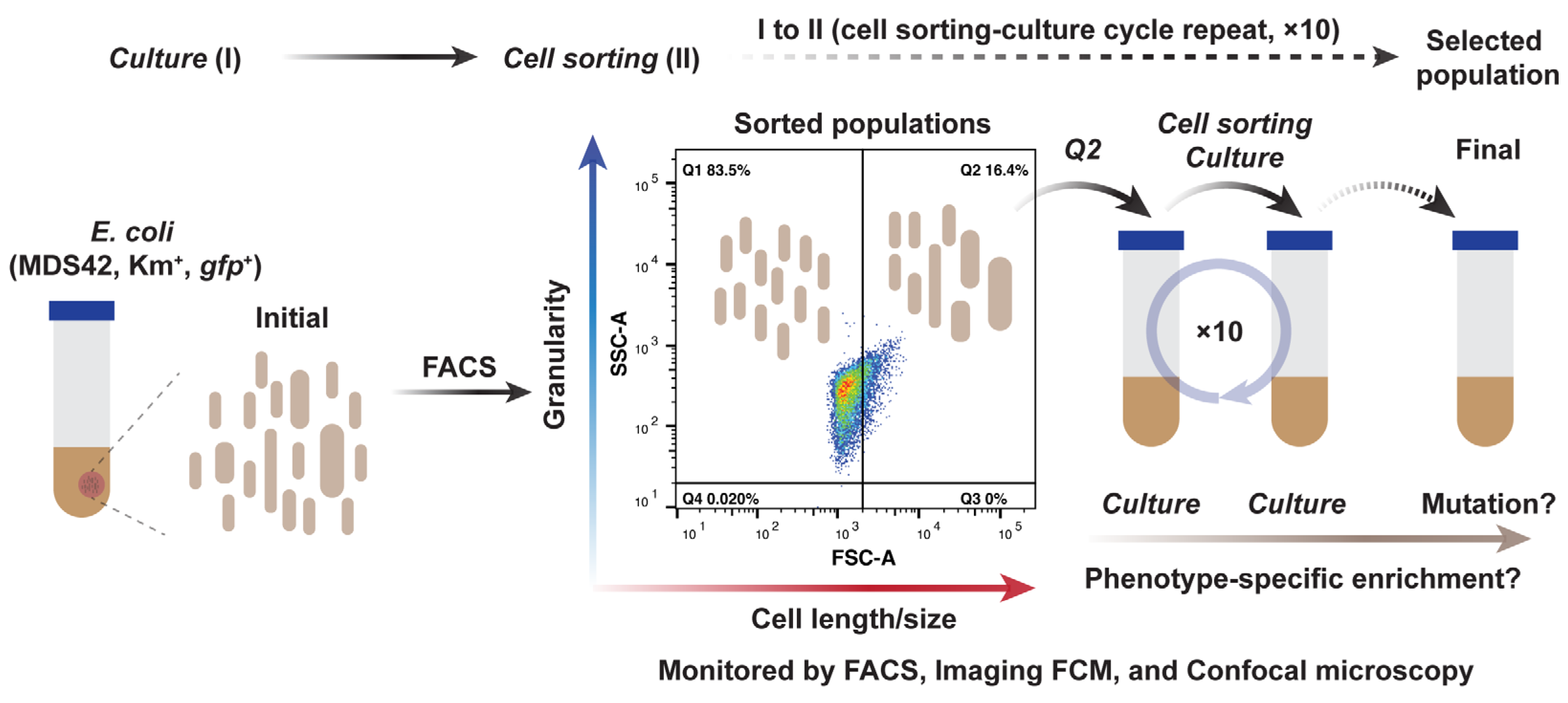 Ijms 24 03243 g001 Ijms 24 03243 g001