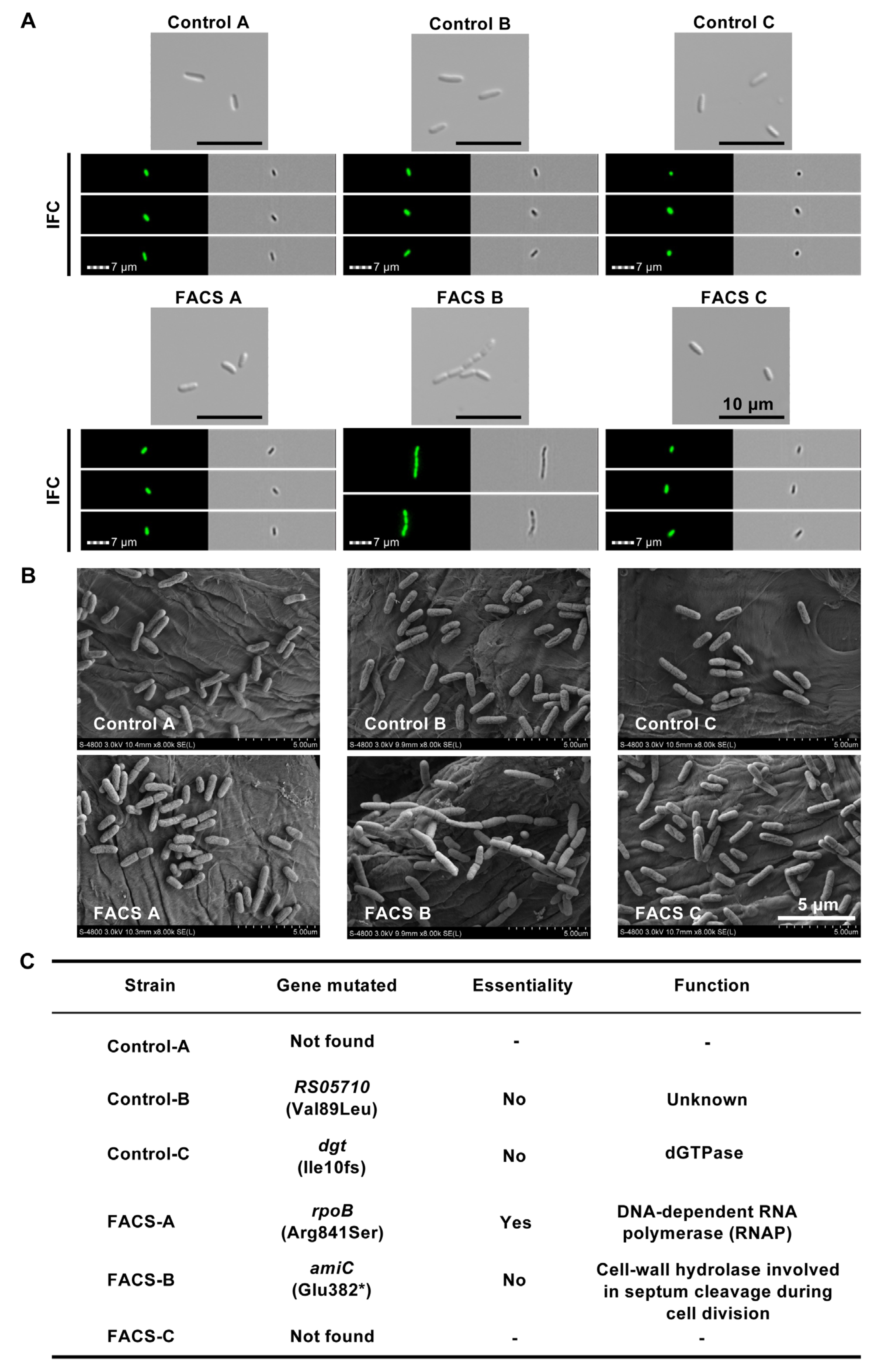 Ijms 24 03243 g003 Ijms 24 03243 g003