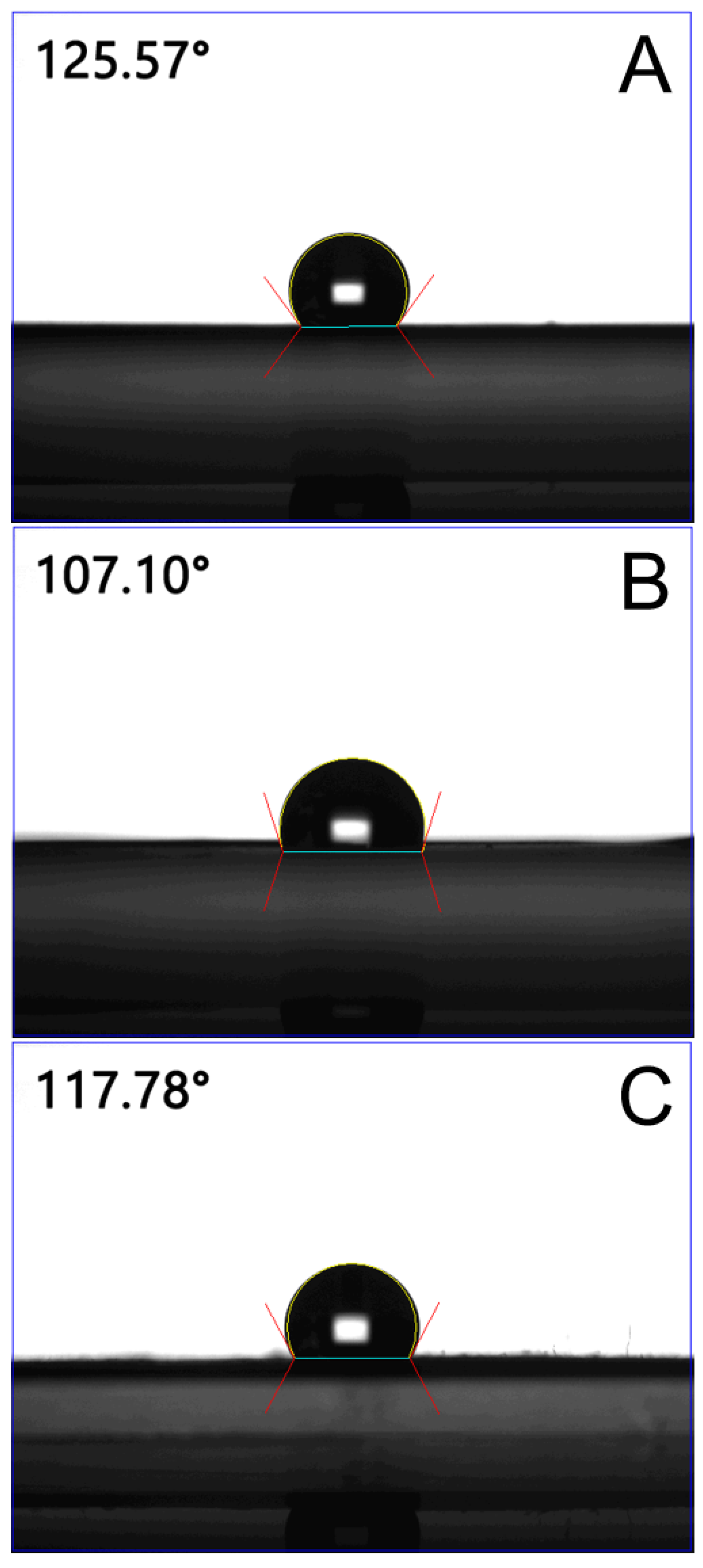 Ijms 24 03254 g002 Ijms 24 03254 g002