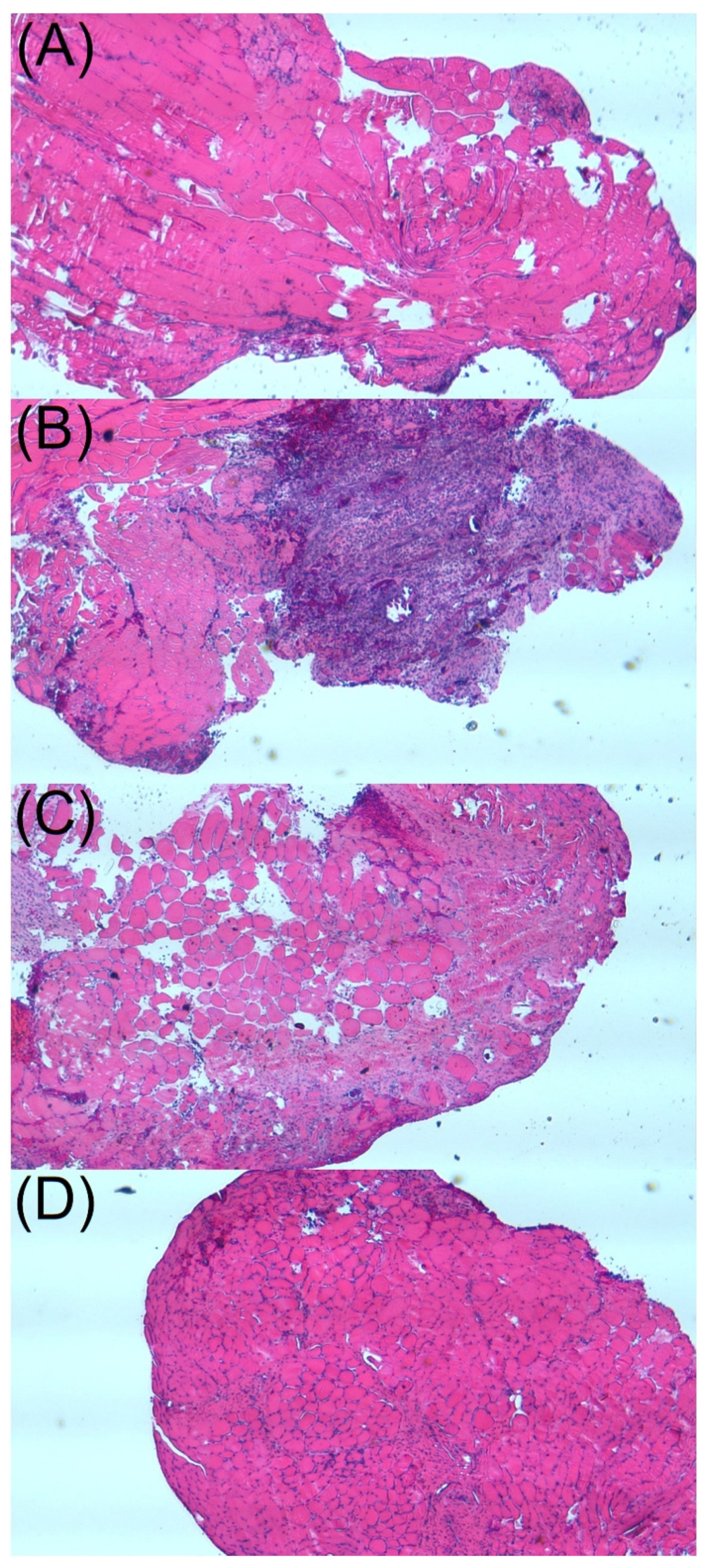 Ijms 24 03254 g008 Ijms 24 03254 g008