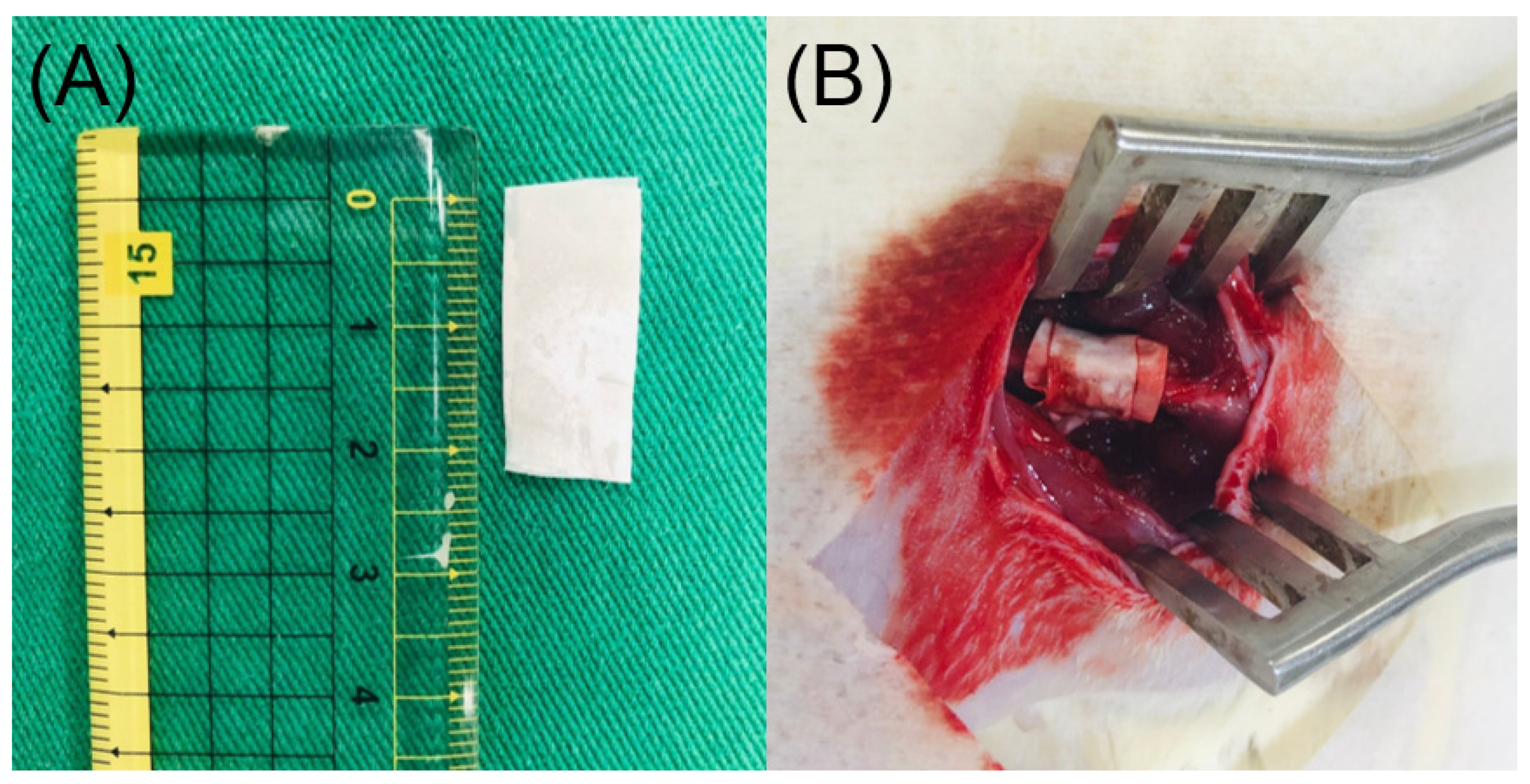 Ijms 24 03254 g009 Ijms 24 03254 g009