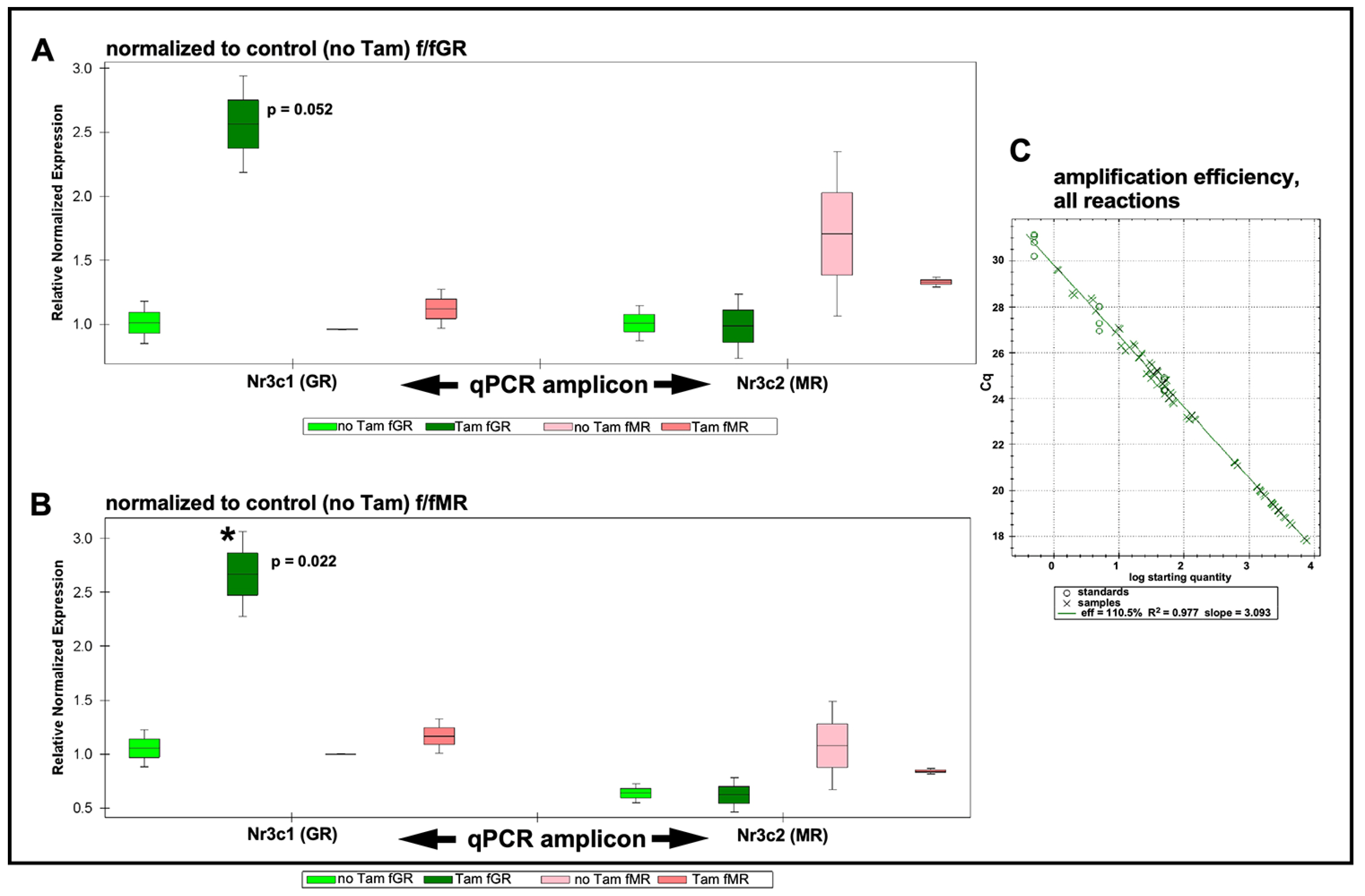 Ijms 24 03320 g002 Ijms 24 03320 g002