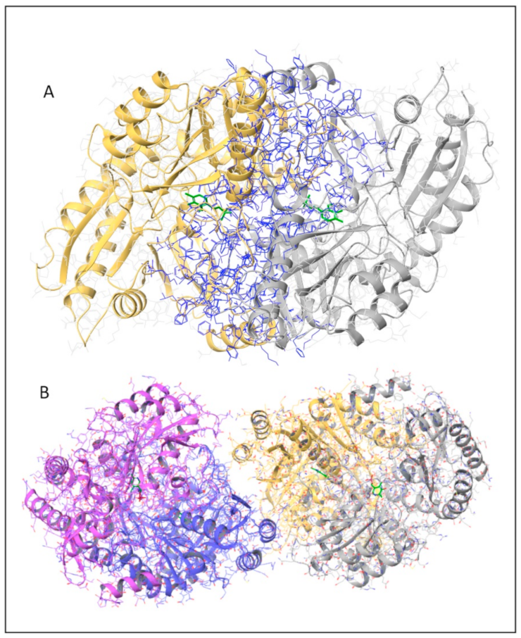 Ijms 24 03369 g001 Ijms 24 03369 g001