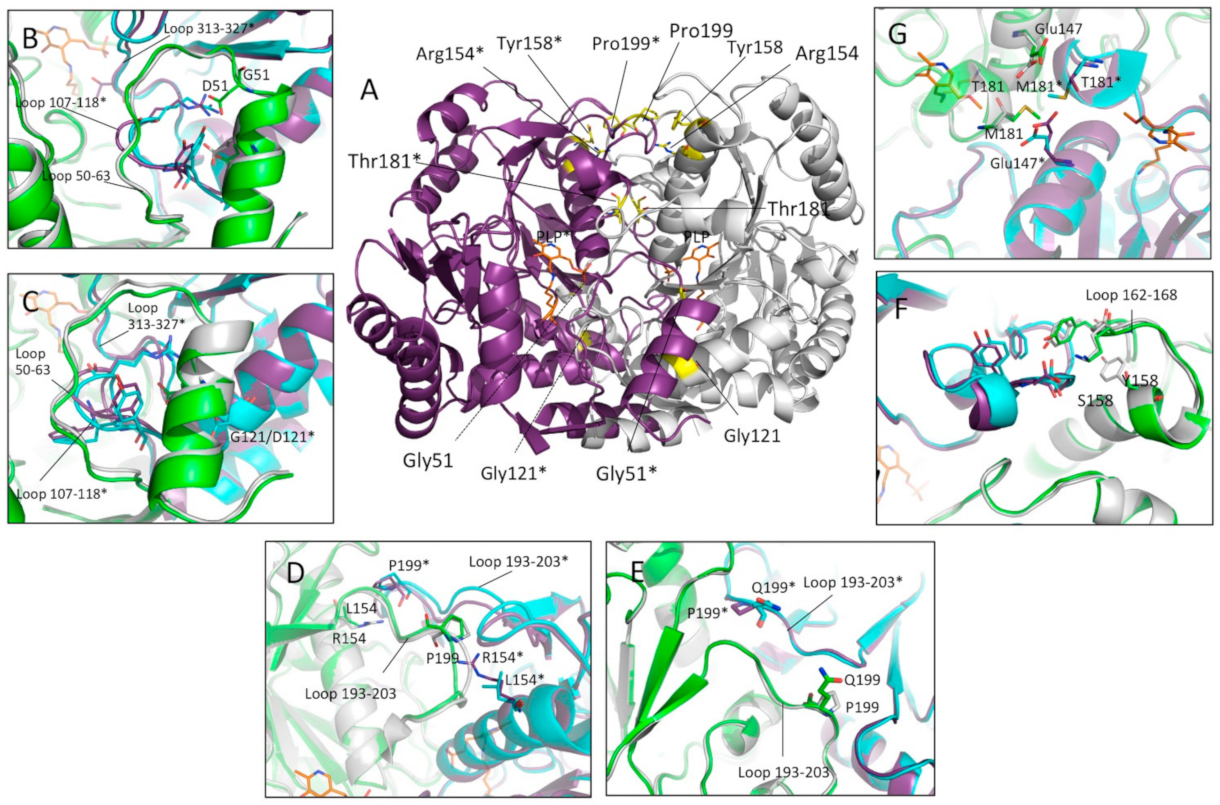 Ijms 24 03369 g002 Ijms 24 03369 g002