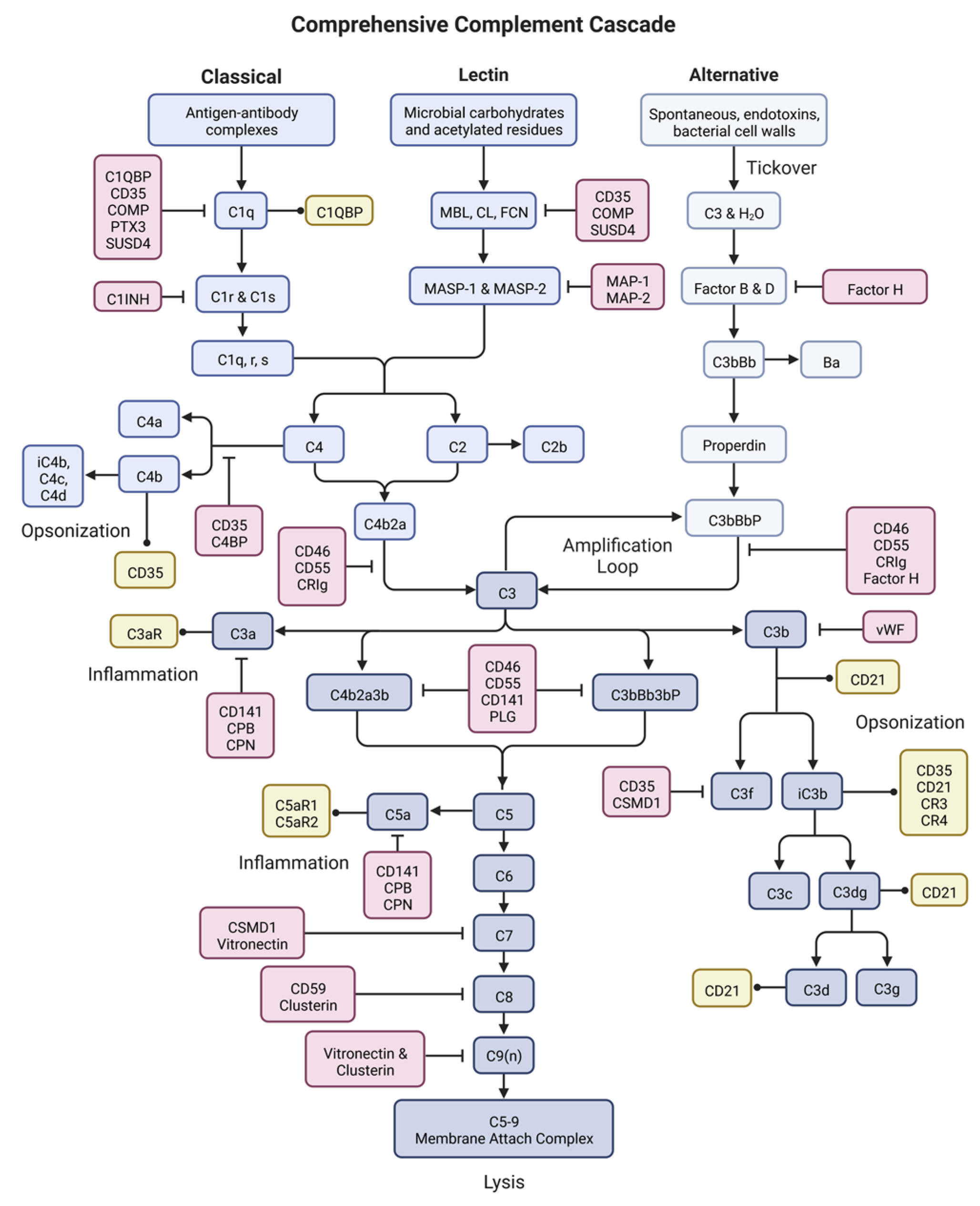 Ijms 24 03371 g002 Ijms 24 03371 g002