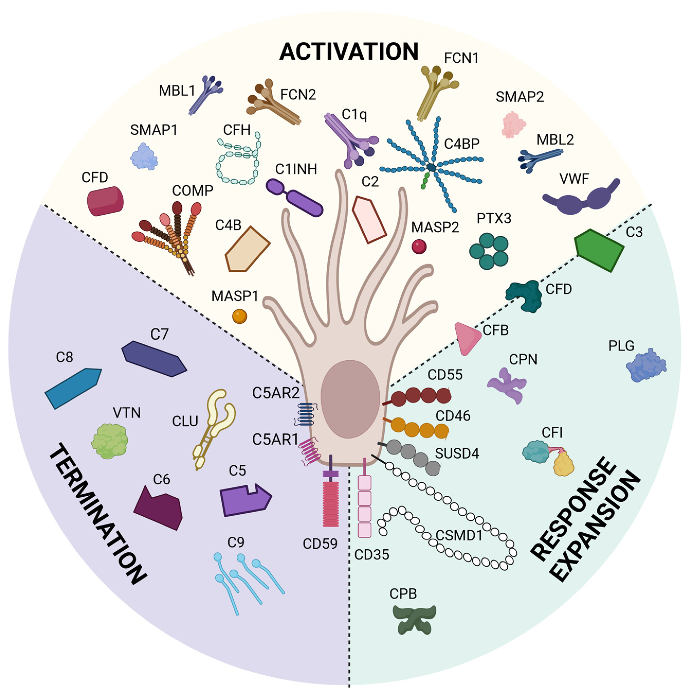 Ijms 24 03371 g004 Ijms 24 03371 g004