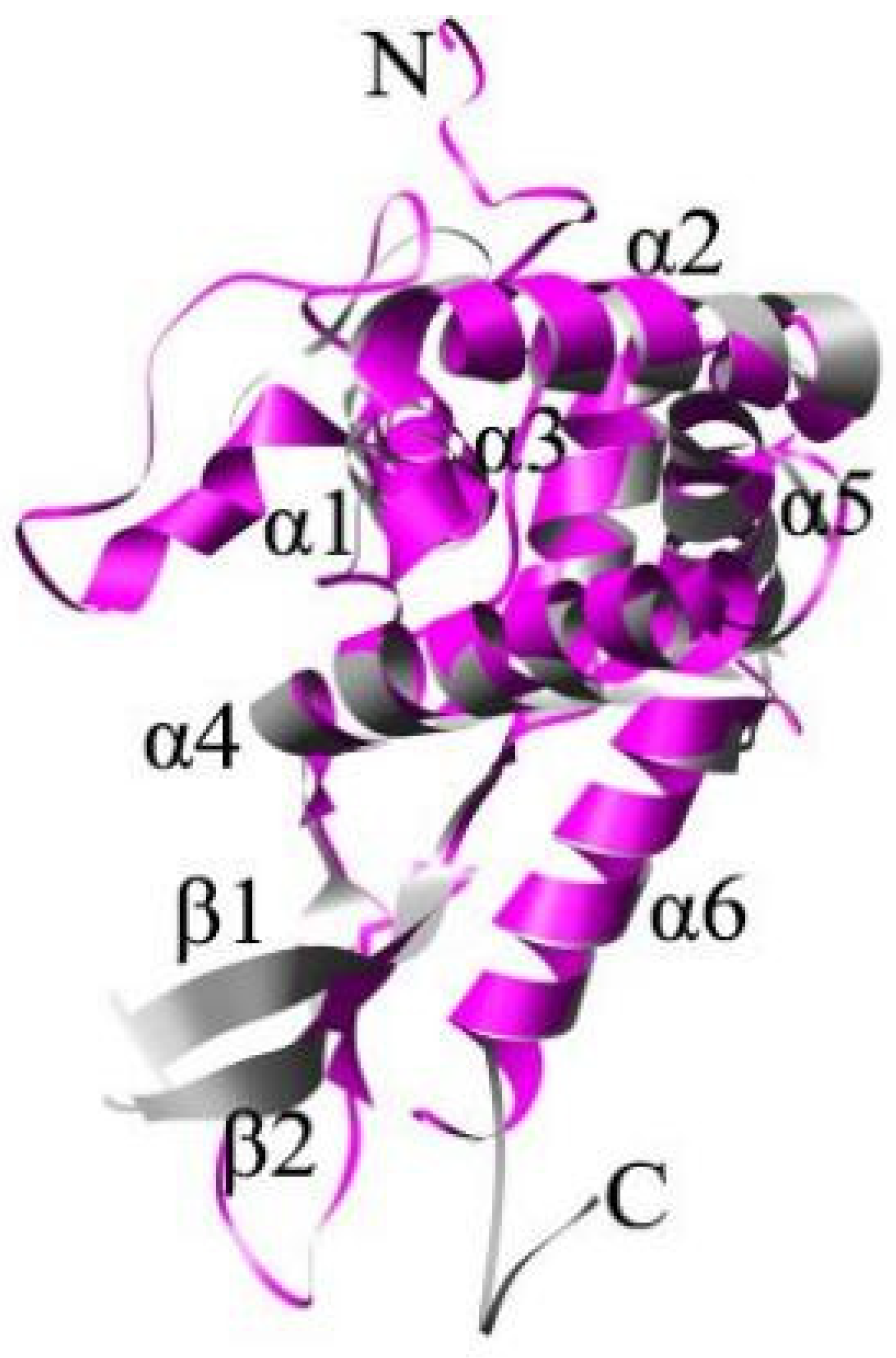 Ijms 24 03386 g001 Ijms 24 03386 g001