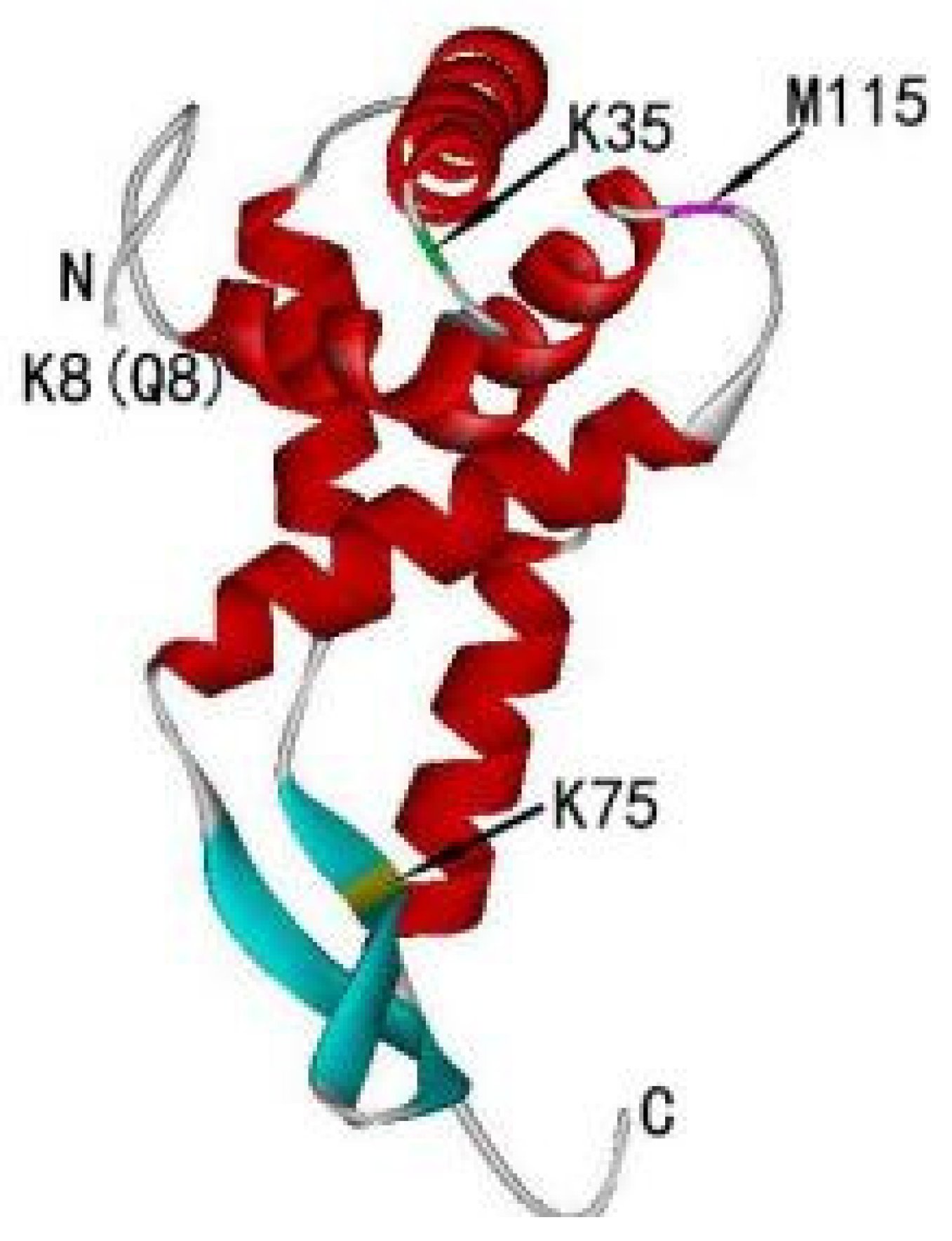 Ijms 24 03386 g002 Ijms 24 03386 g002