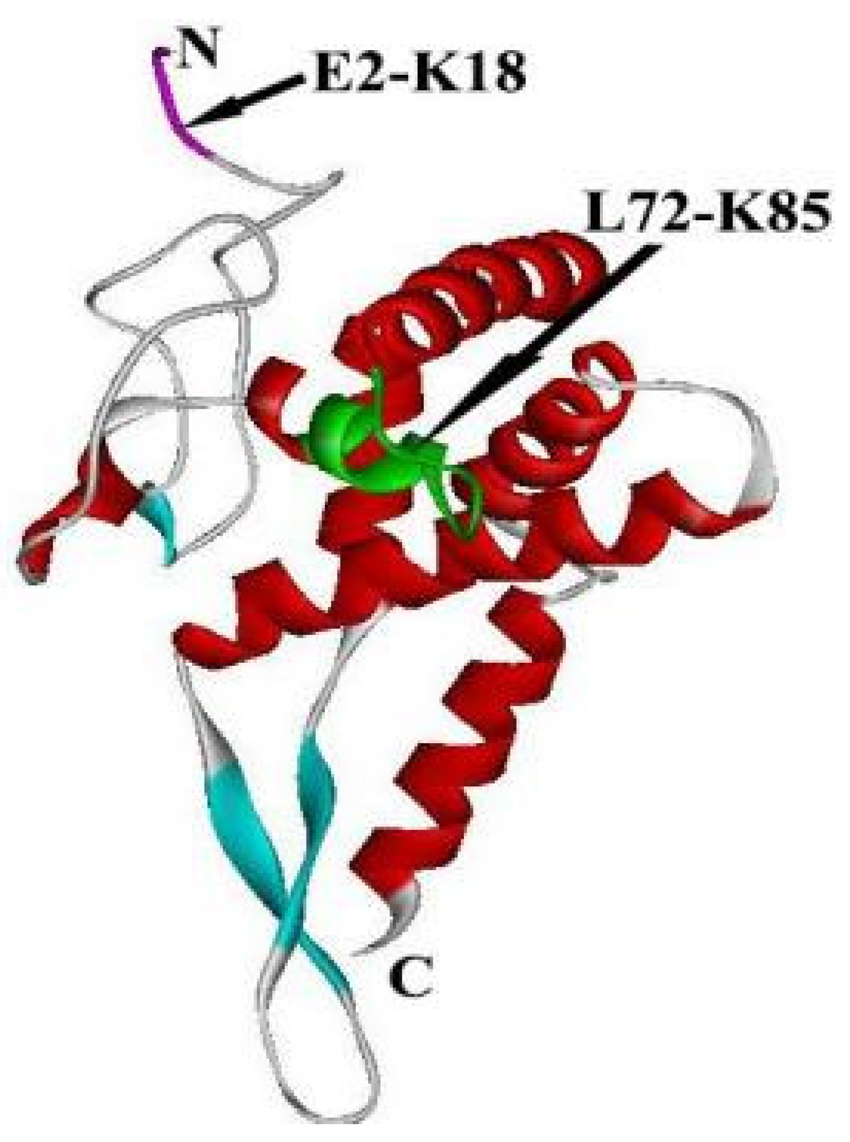 Ijms 24 03386 g004 Ijms 24 03386 g004