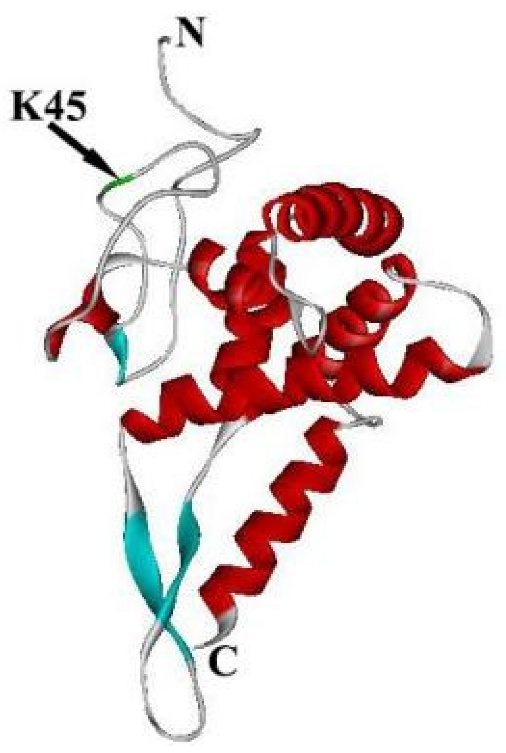 Ijms 24 03386 g005 Ijms 24 03386 g005