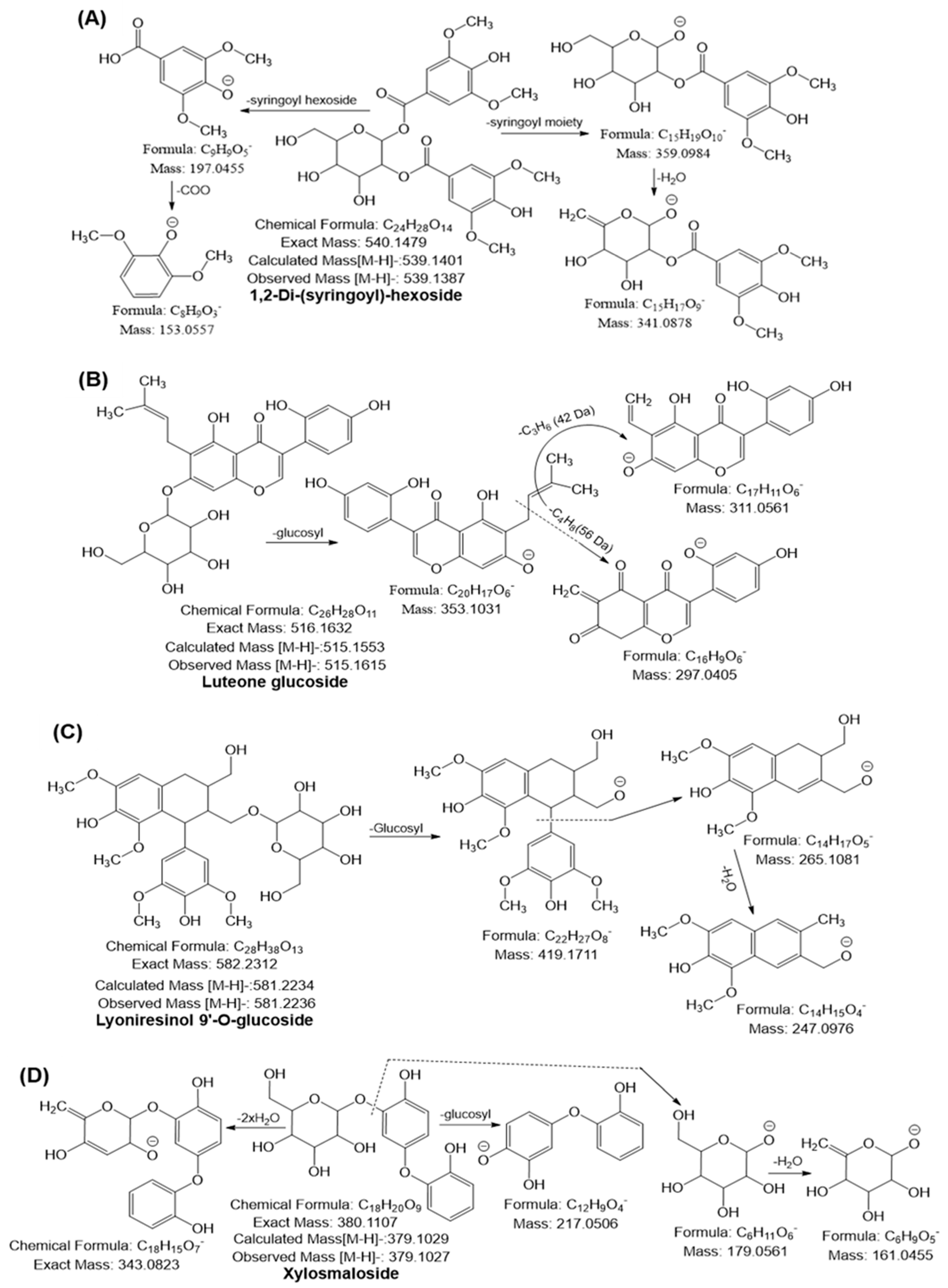 Ijms 24 03396 g004 Ijms 24 03396 g004