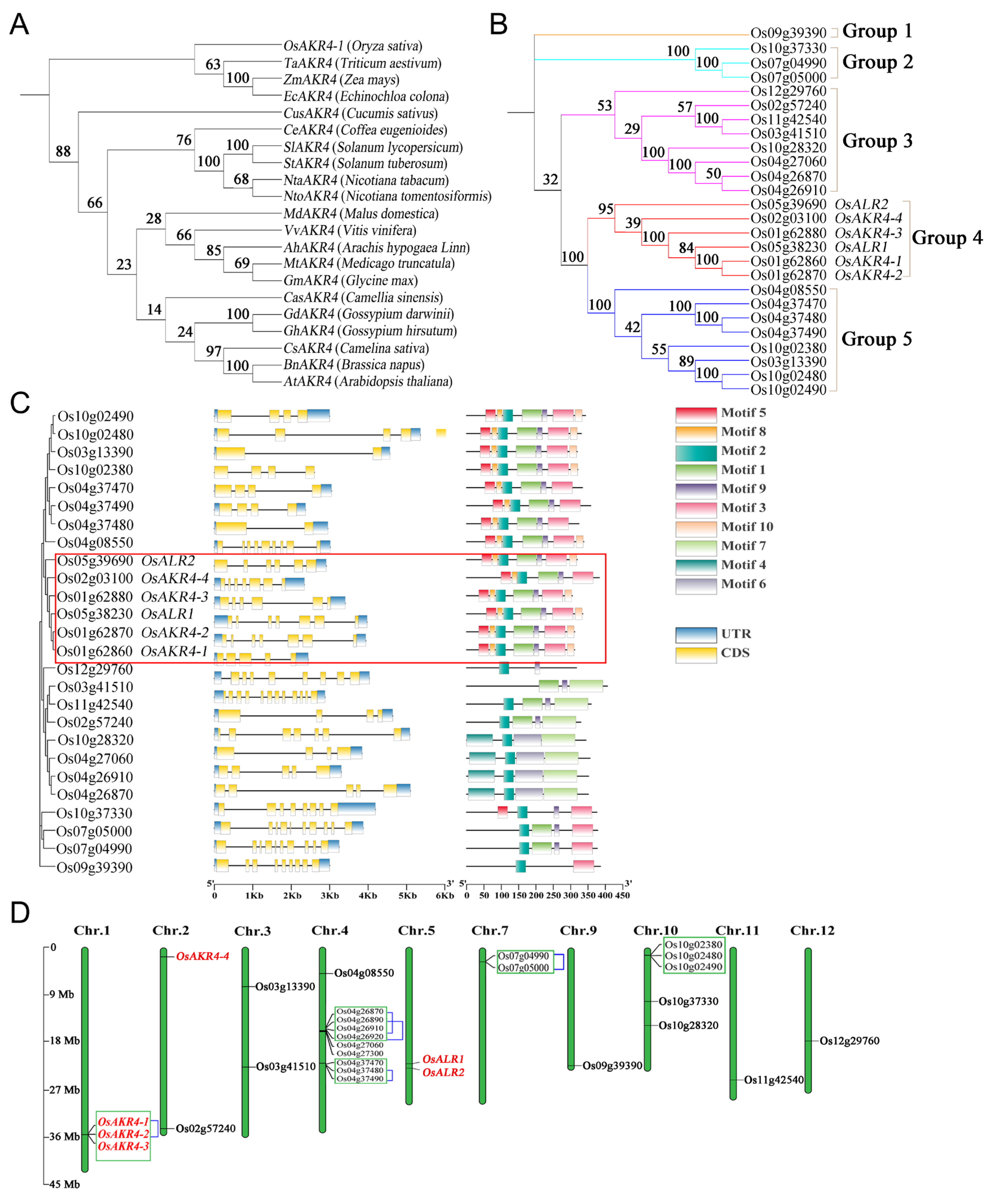 Ijms 24 03421 g001 Ijms 24 03421 g001