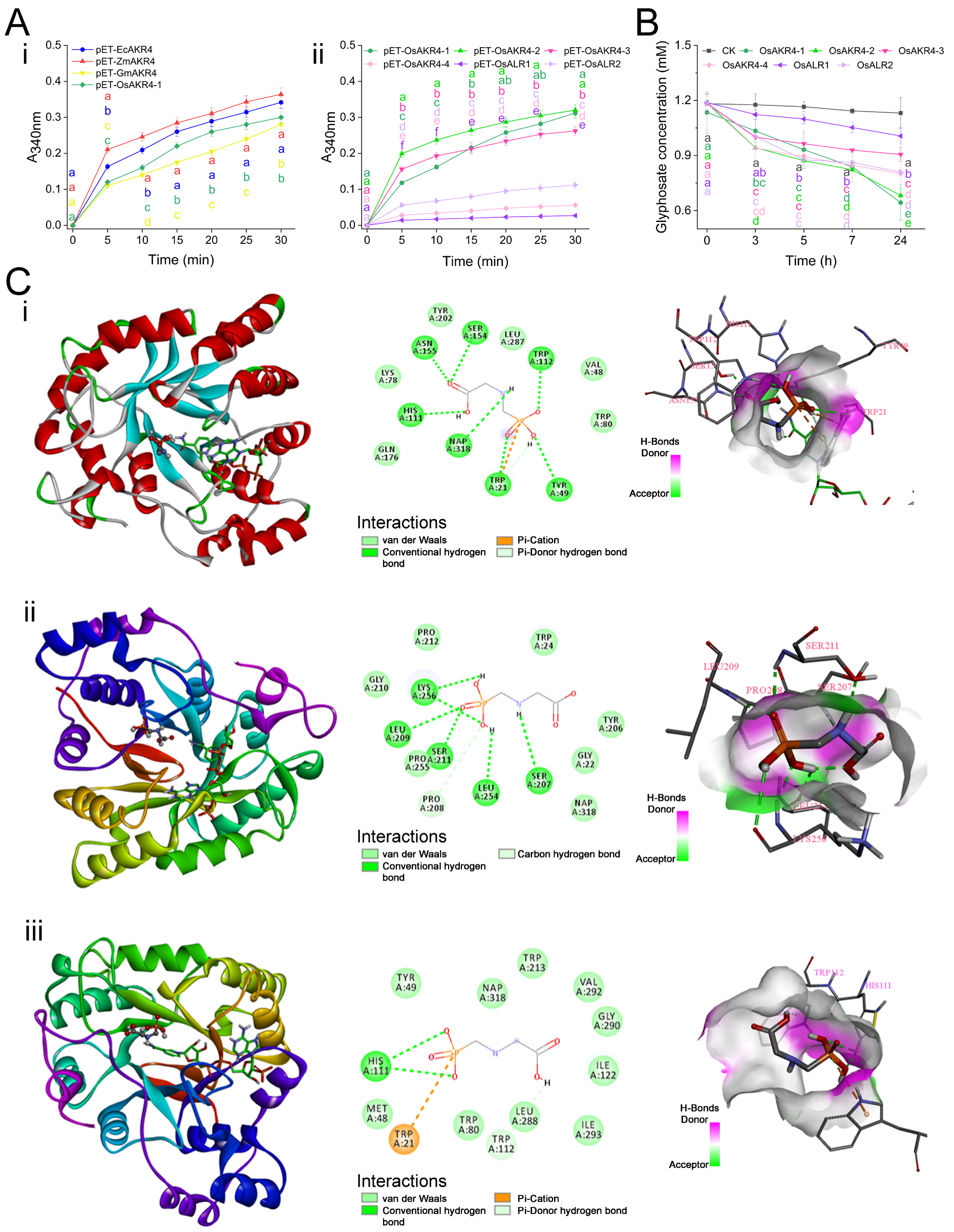 Ijms 24 03421 g004 Ijms 24 03421 g004