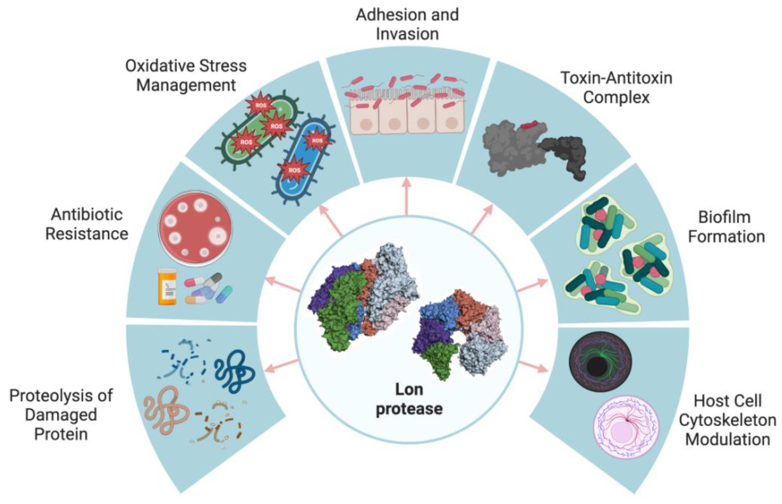 Ijms 24 03422 g001 Ijms 24 03422 g001