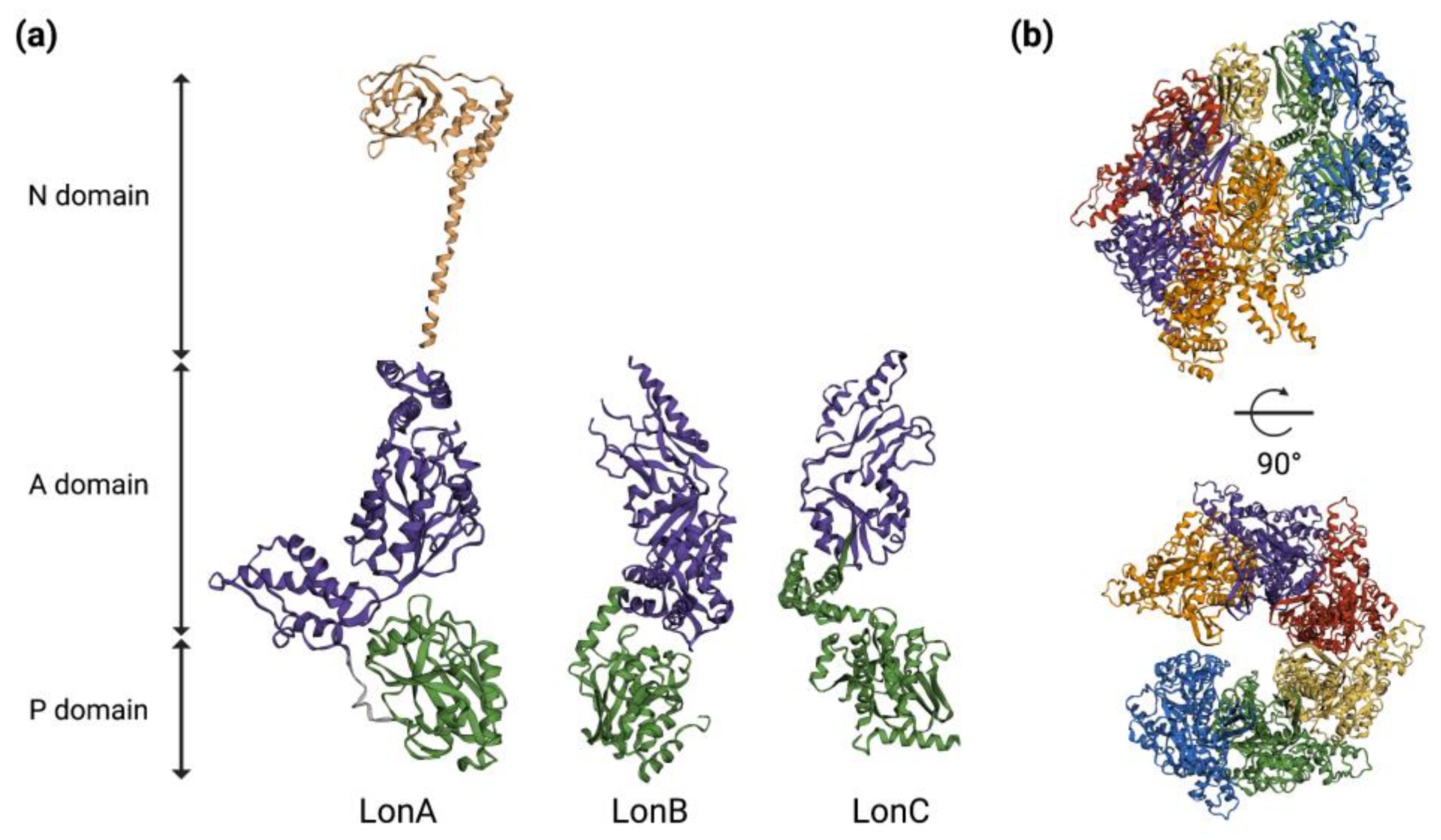 Ijms 24 03422 g002 Ijms 24 03422 g002