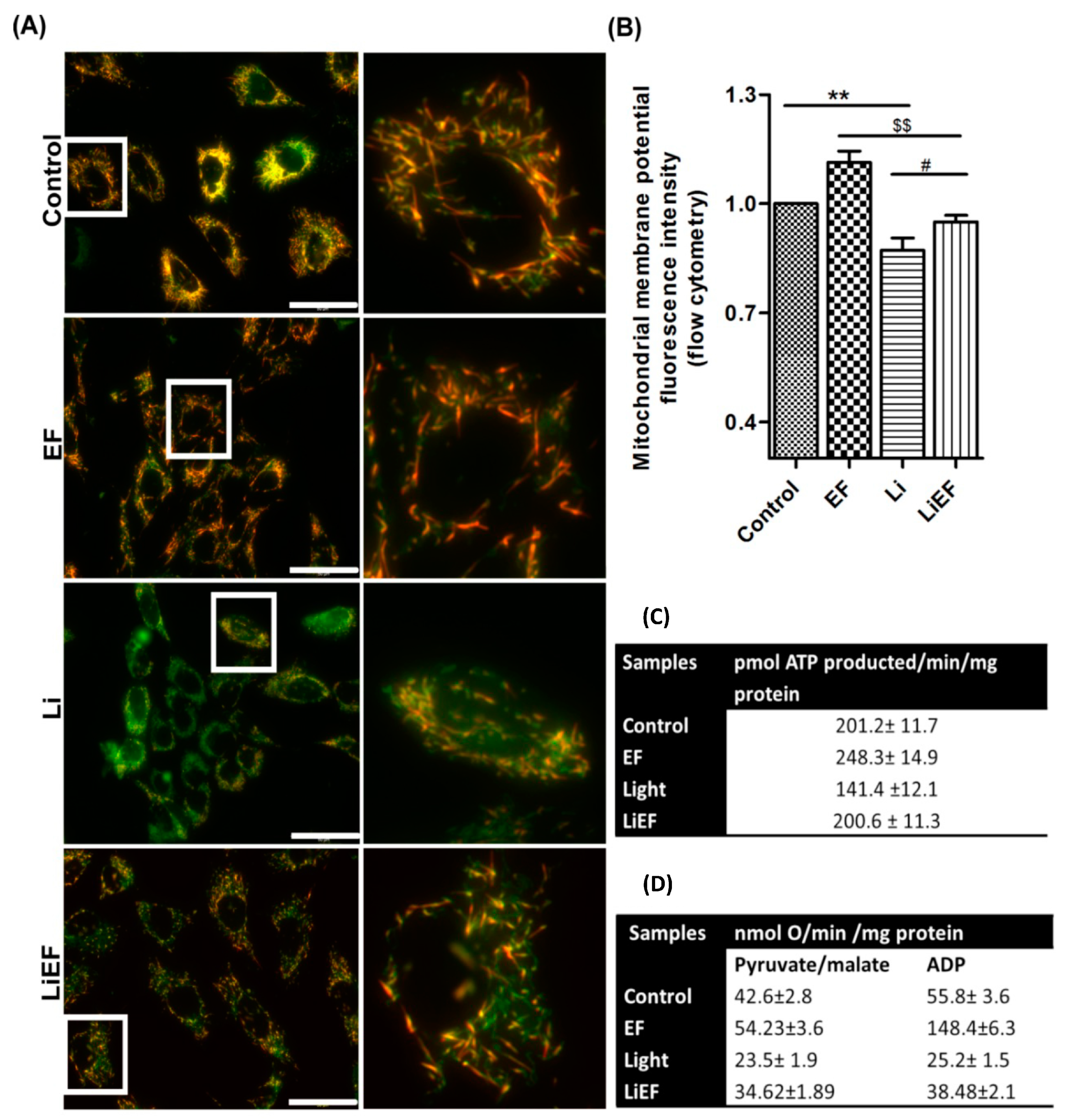 Ijms 24 03433 g003 Ijms 24 03433 g003
