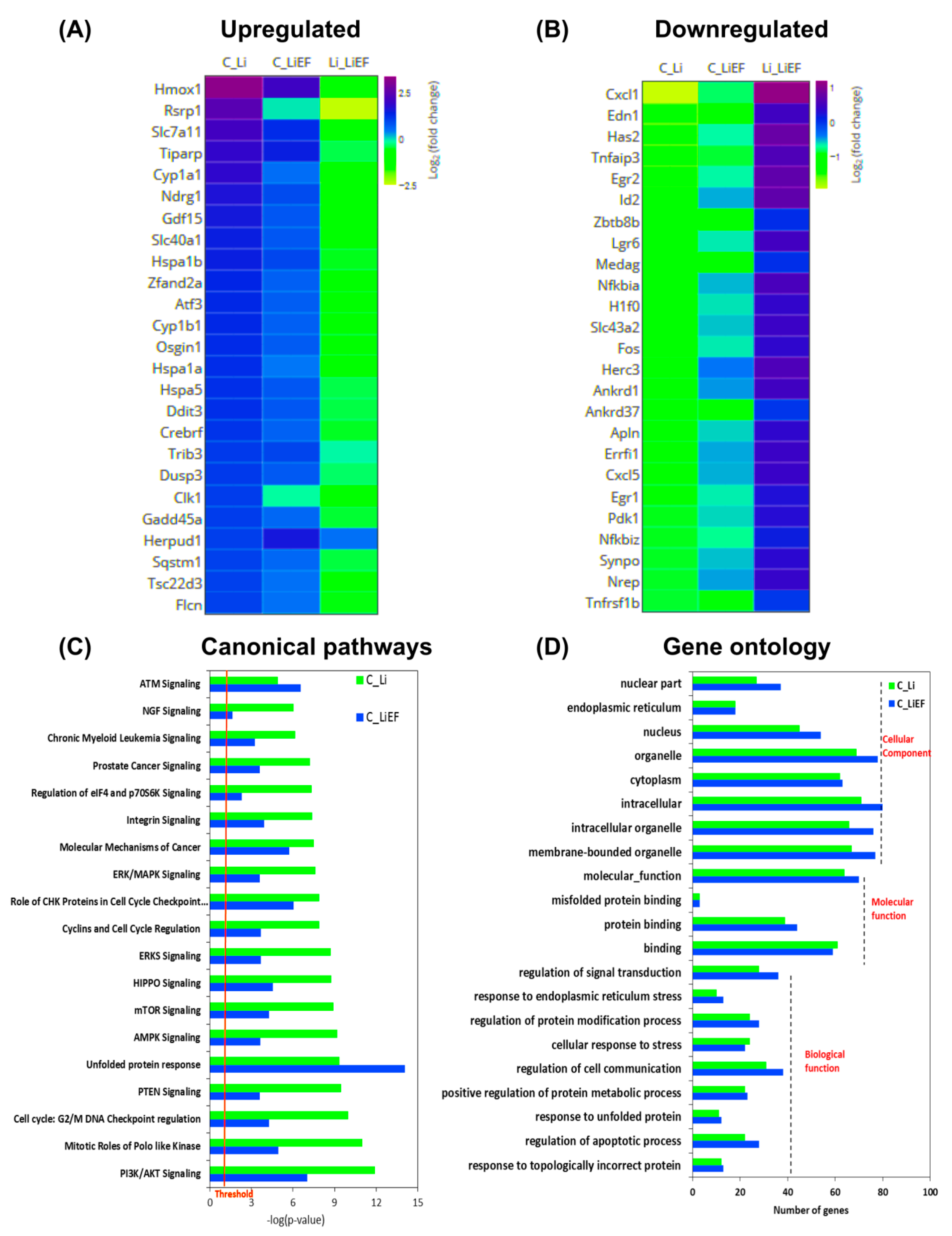 Ijms 24 03433 g005 Ijms 24 03433 g005