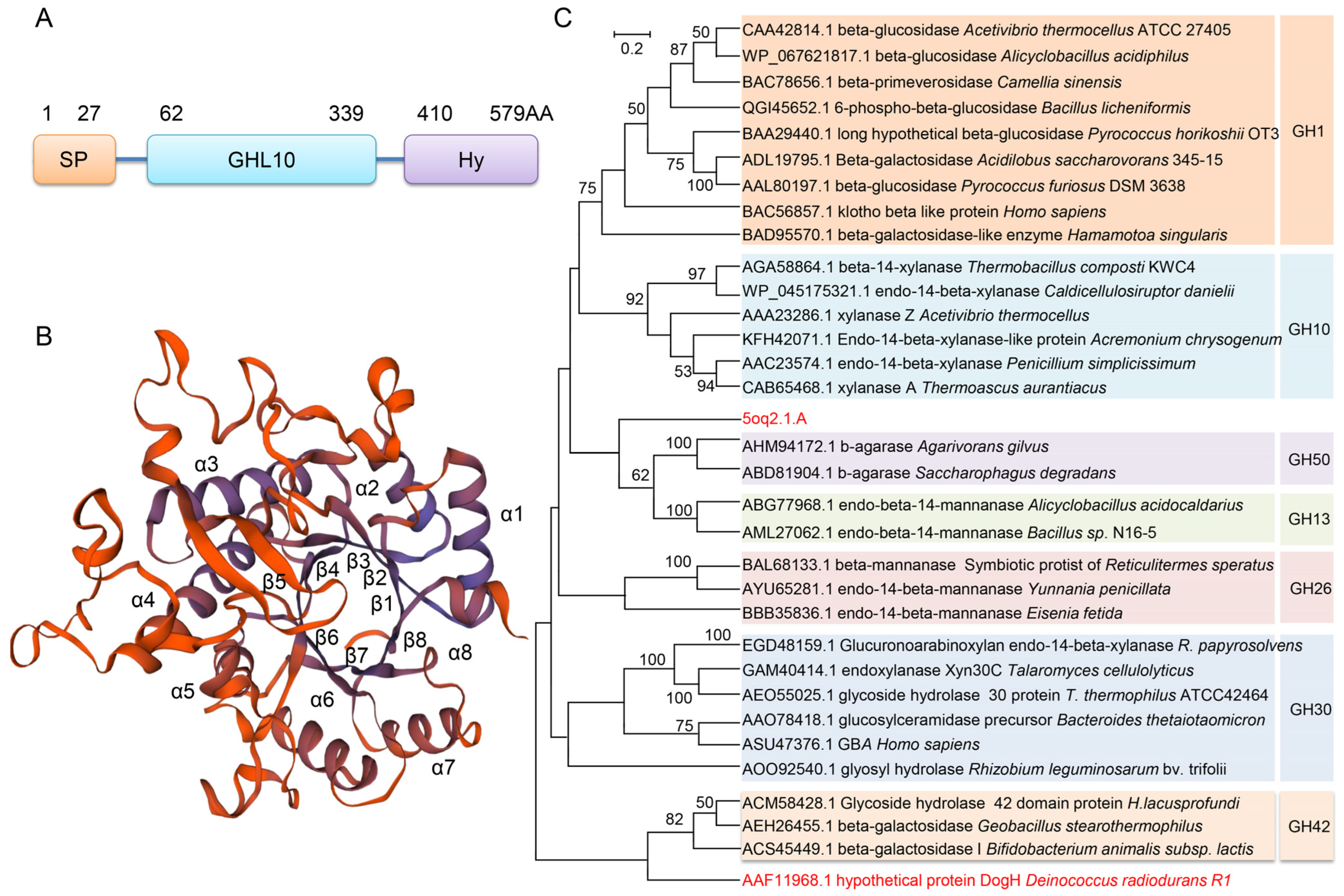 Ijms 24 03437 g001 Ijms 24 03437 g001