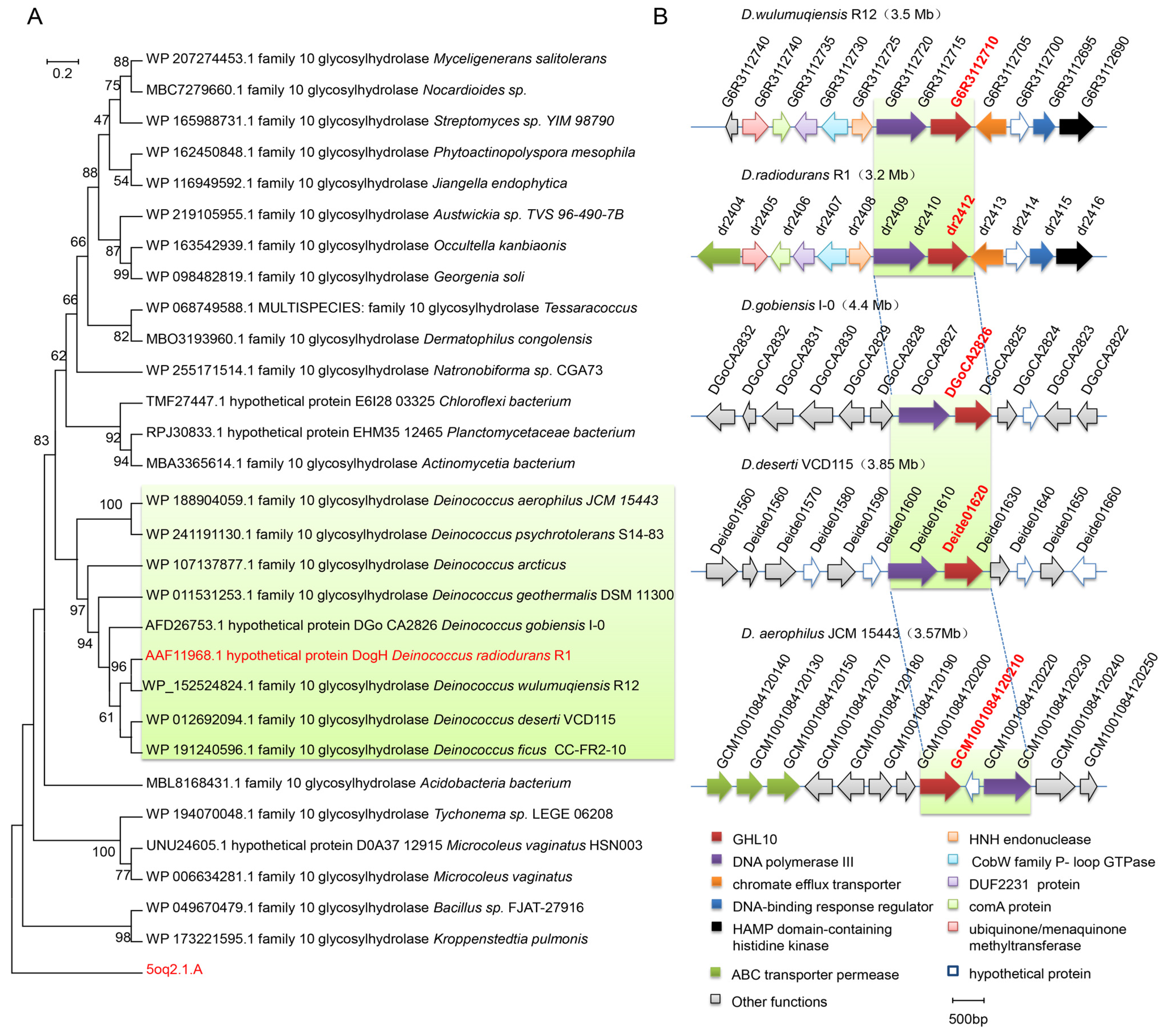 Ijms 24 03437 g002 Ijms 24 03437 g002