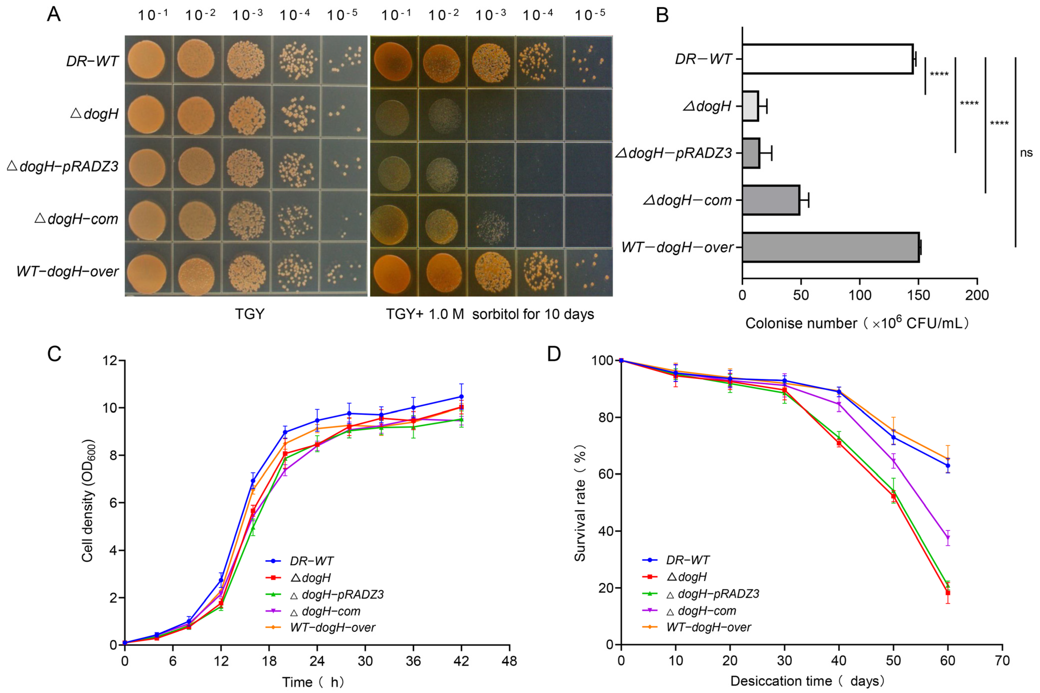 Ijms 24 03437 g003 Ijms 24 03437 g003