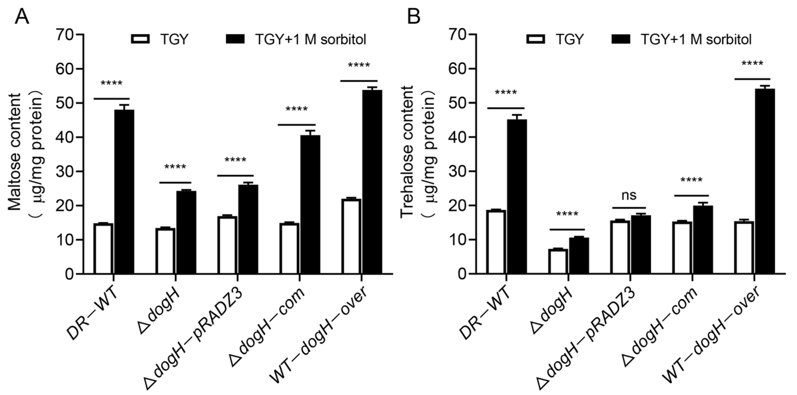 Ijms 24 03437 g006 Ijms 24 03437 g006