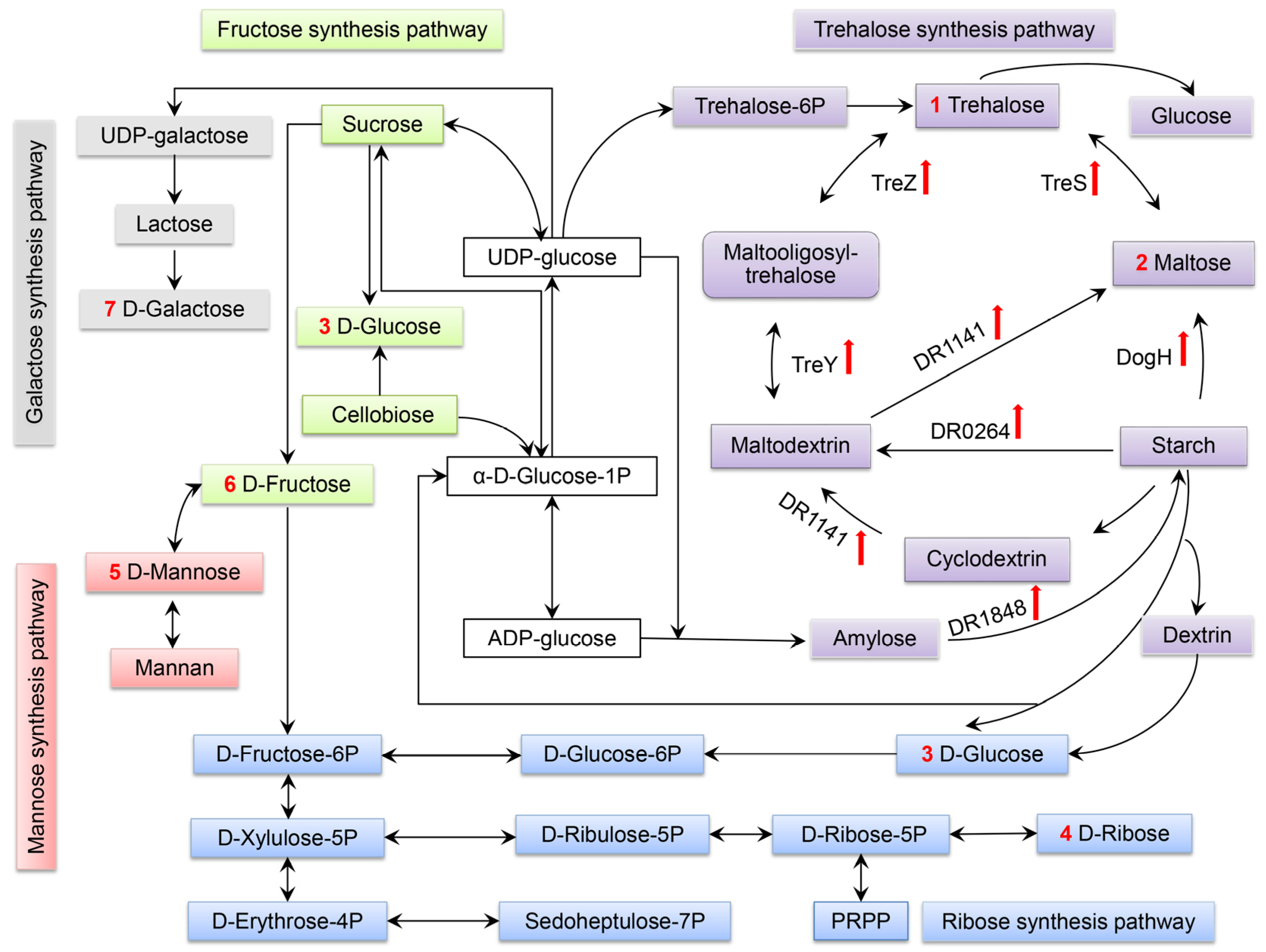 Ijms 24 03437 g008 Ijms 24 03437 g008
