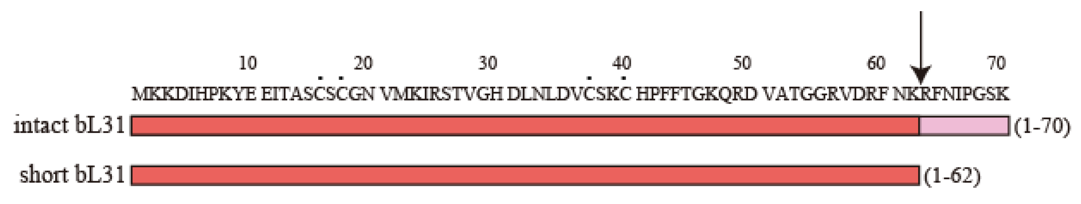 Ijms 24 03445 g002 Ijms 24 03445 g002