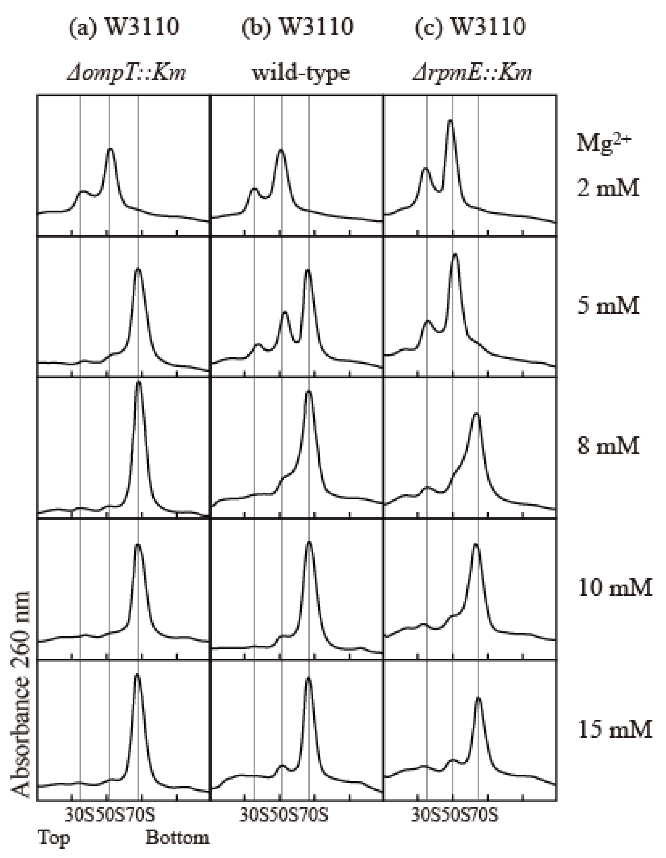 Ijms 24 03445 g004 Ijms 24 03445 g004