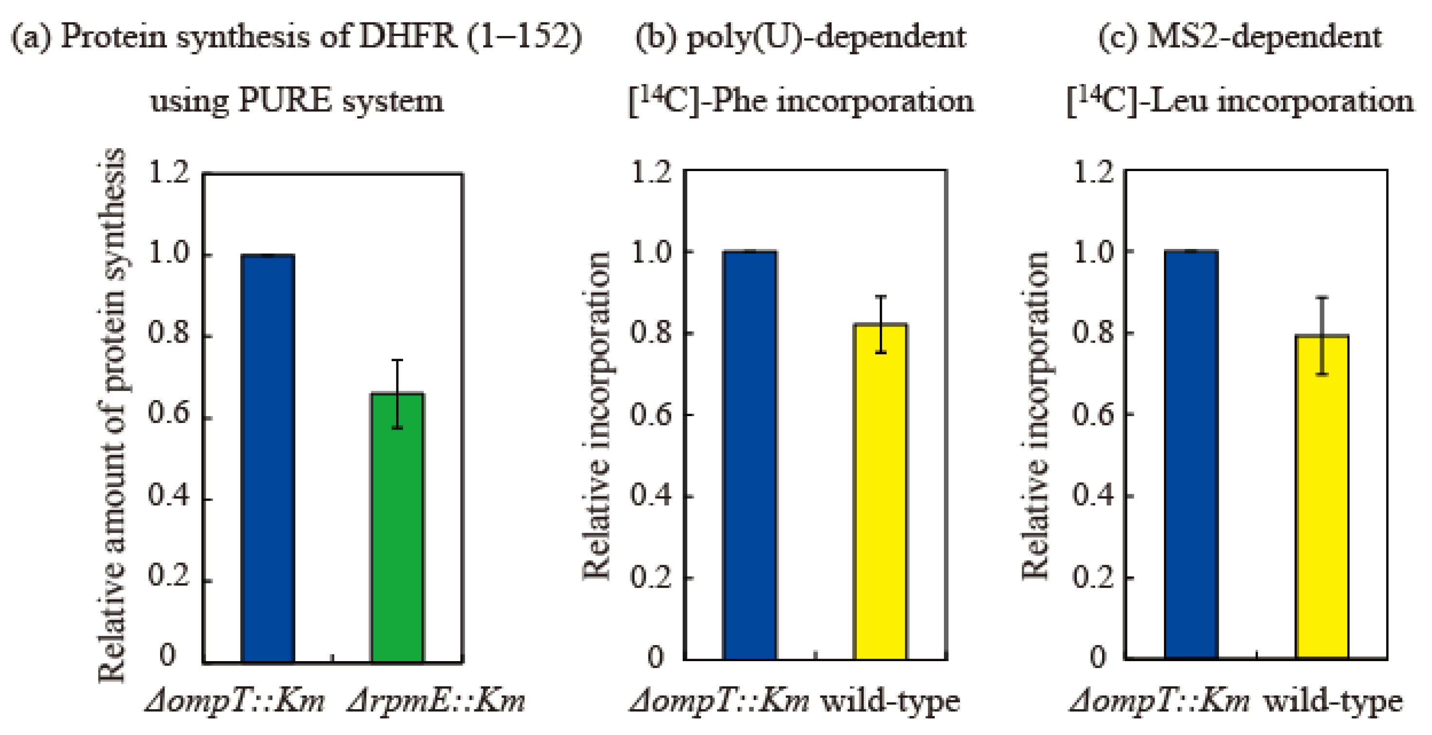 Ijms 24 03445 g007 Ijms 24 03445 g007