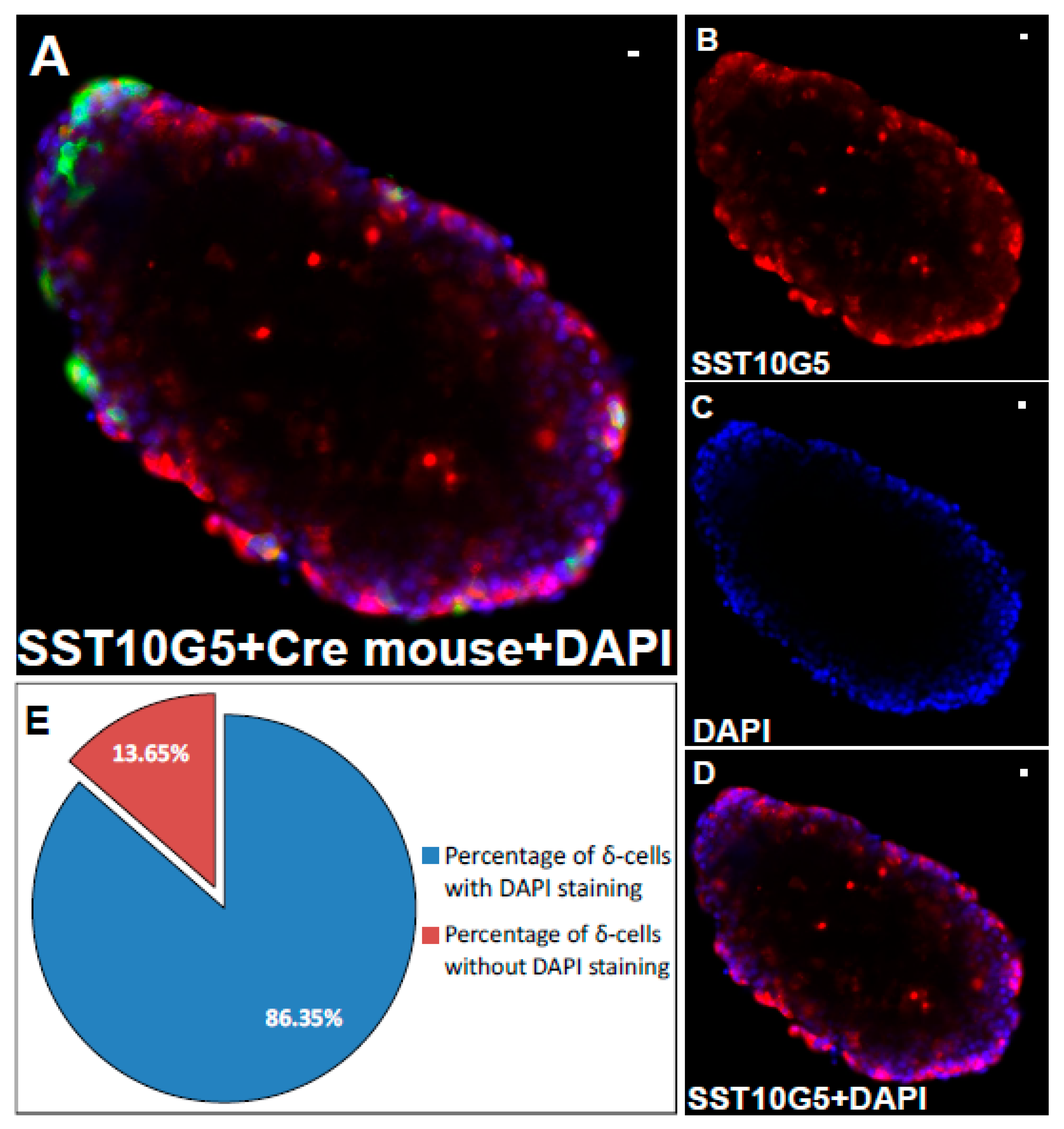 Ijms 24 03449 g002 Ijms 24 03449 g002