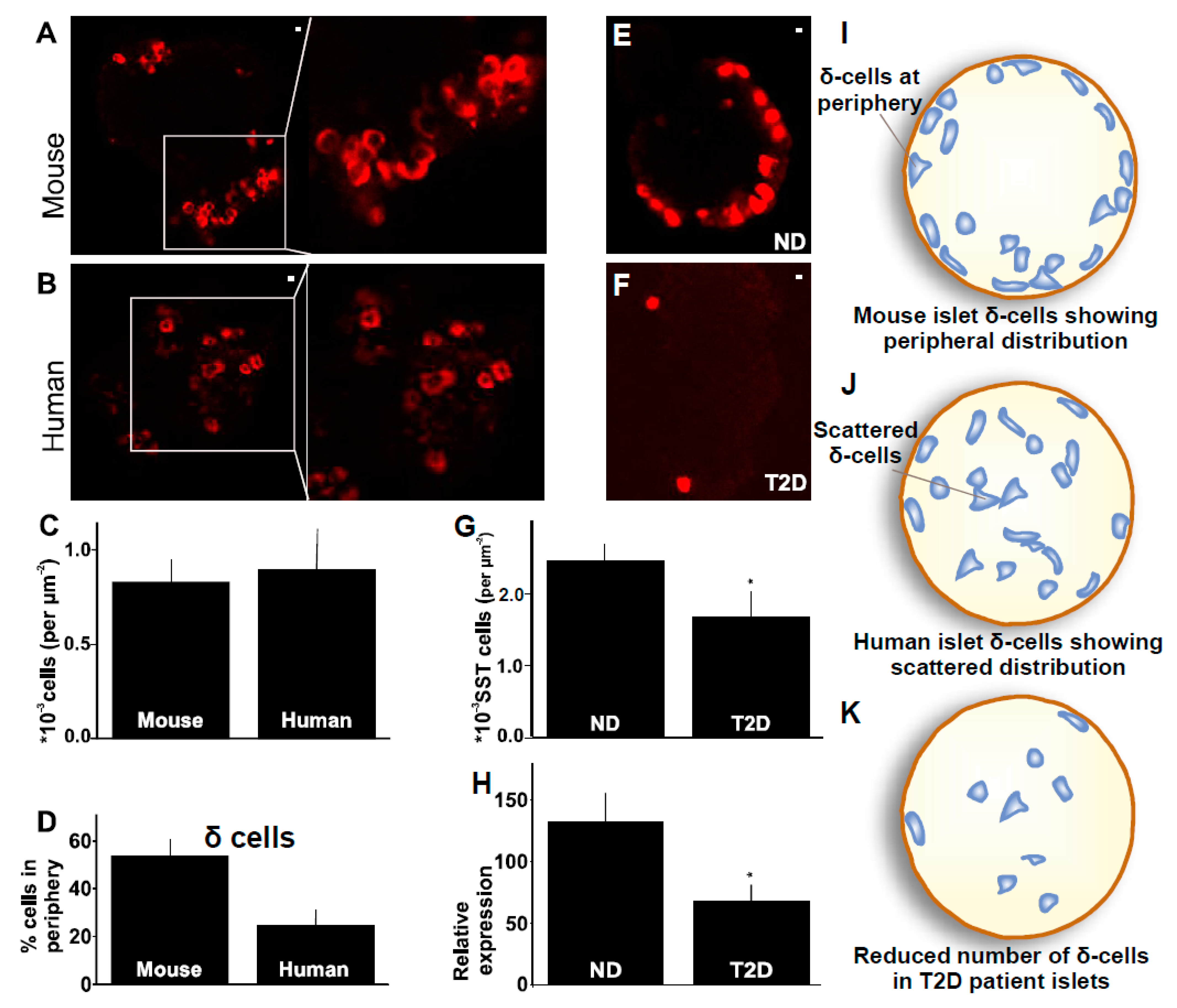 Ijms 24 03449 g005 Ijms 24 03449 g005