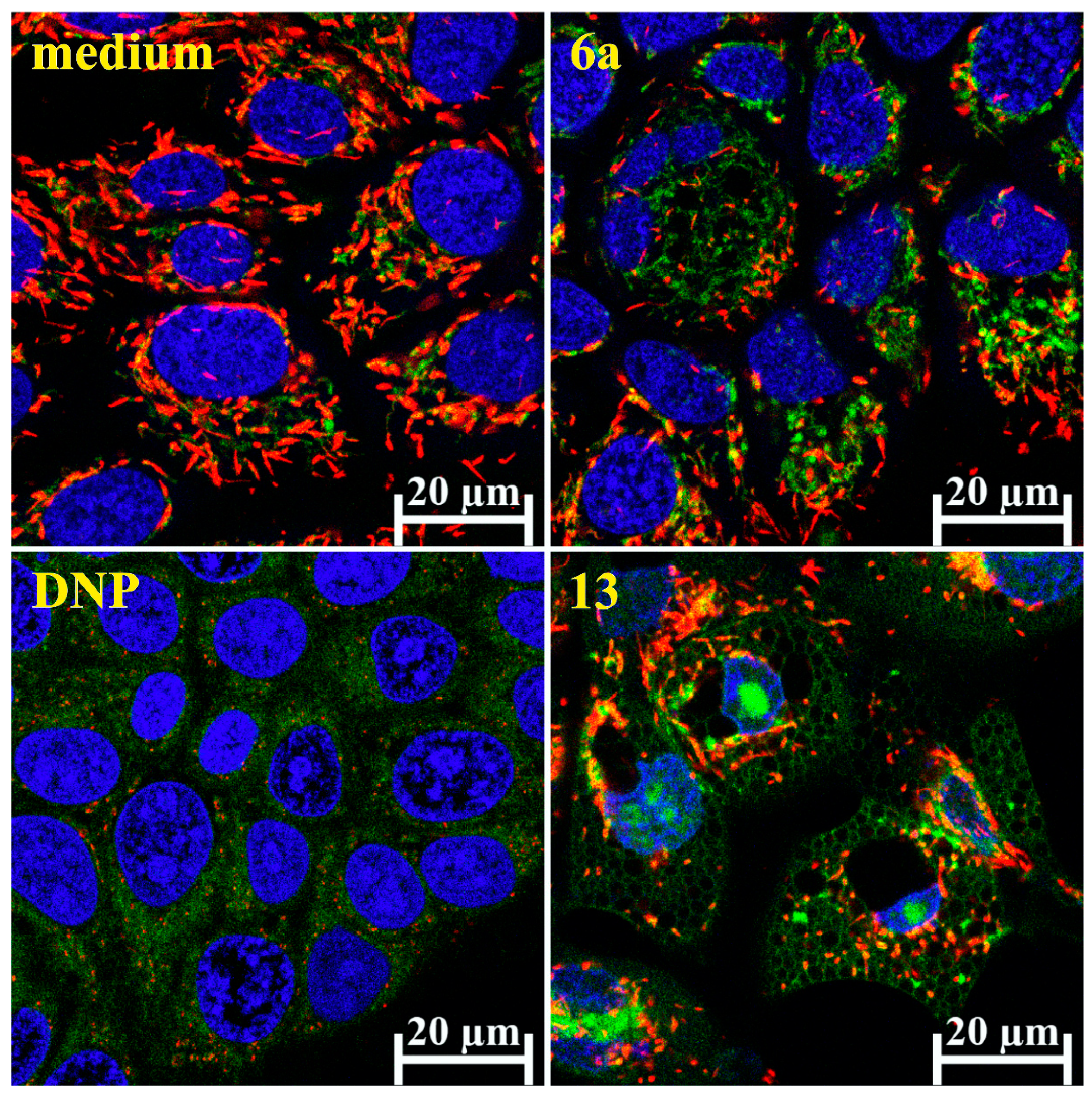 Ijms 24 03456 g008 Ijms 24 03456 g008