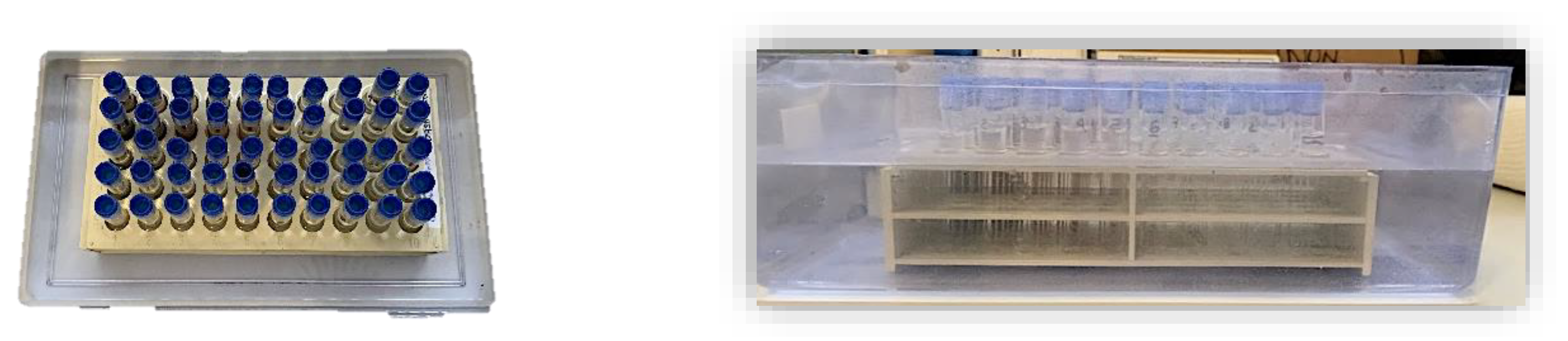 Ijms 24 03461 g006 Ijms 24 03461 g006