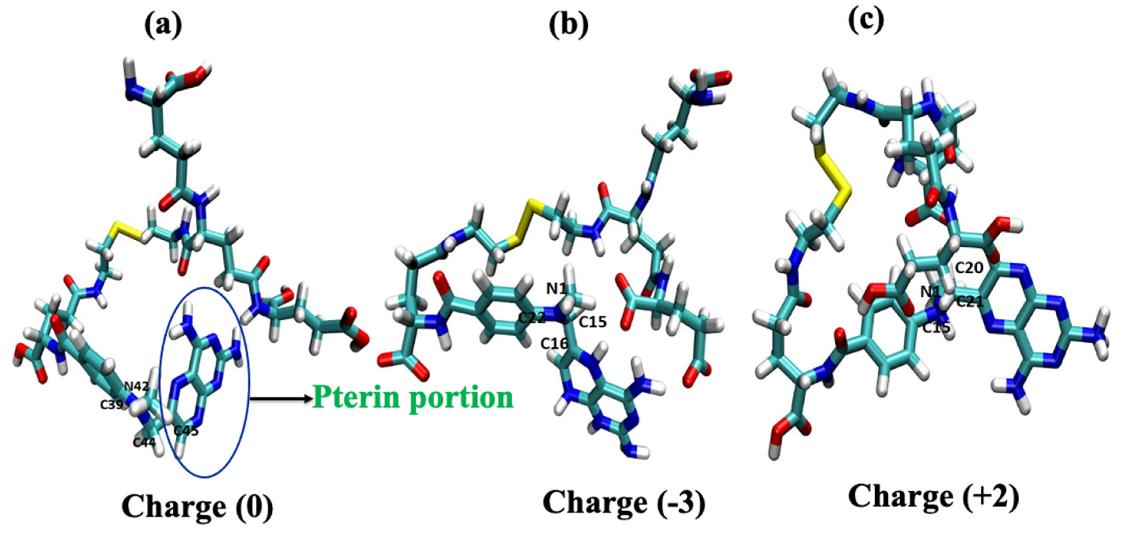 Ijms 24 03479 g002 Ijms 24 03479 g002