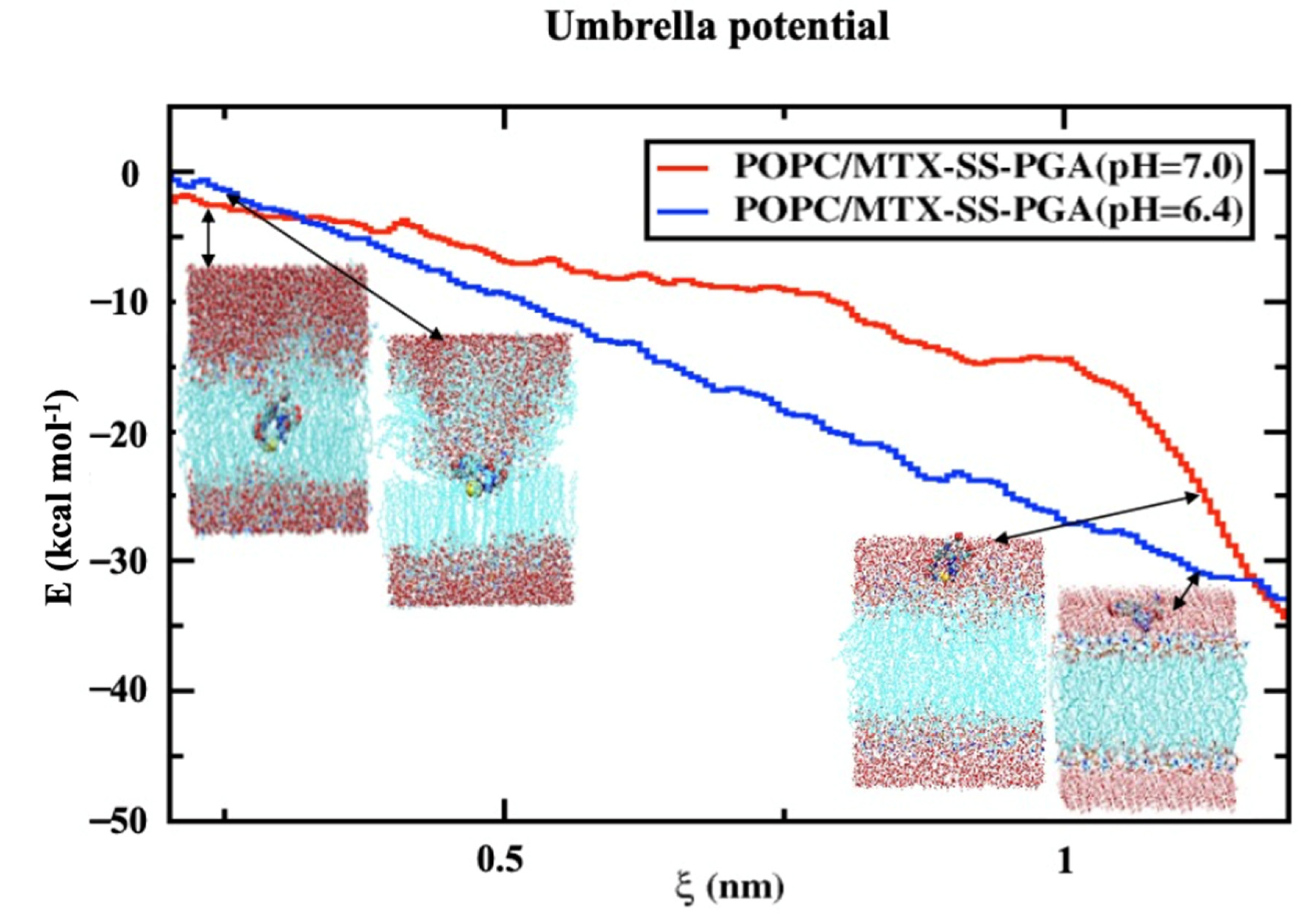 Ijms 24 03479 g007 Ijms 24 03479 g007