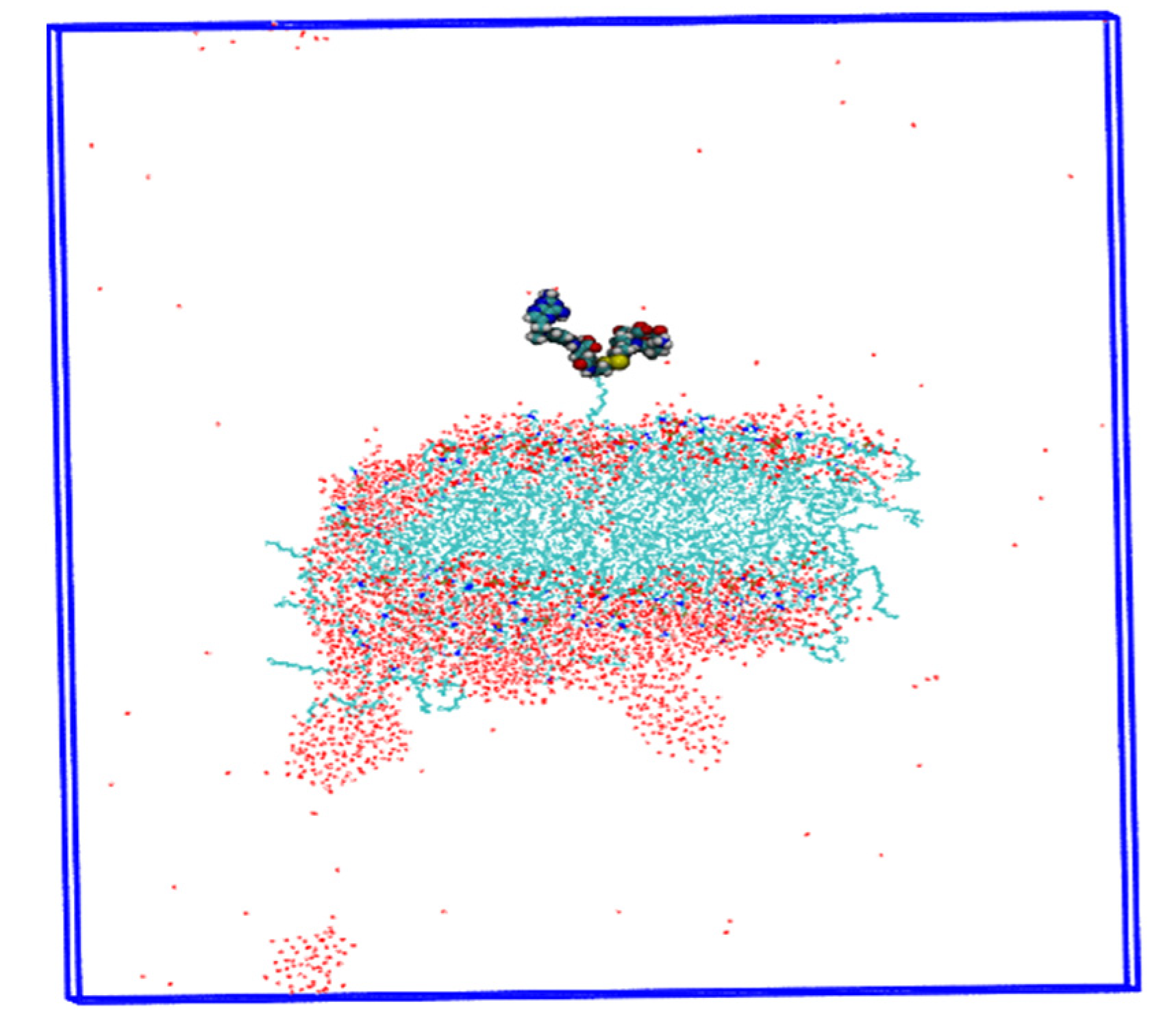 Ijms 24 03479 g010 Ijms 24 03479 g010