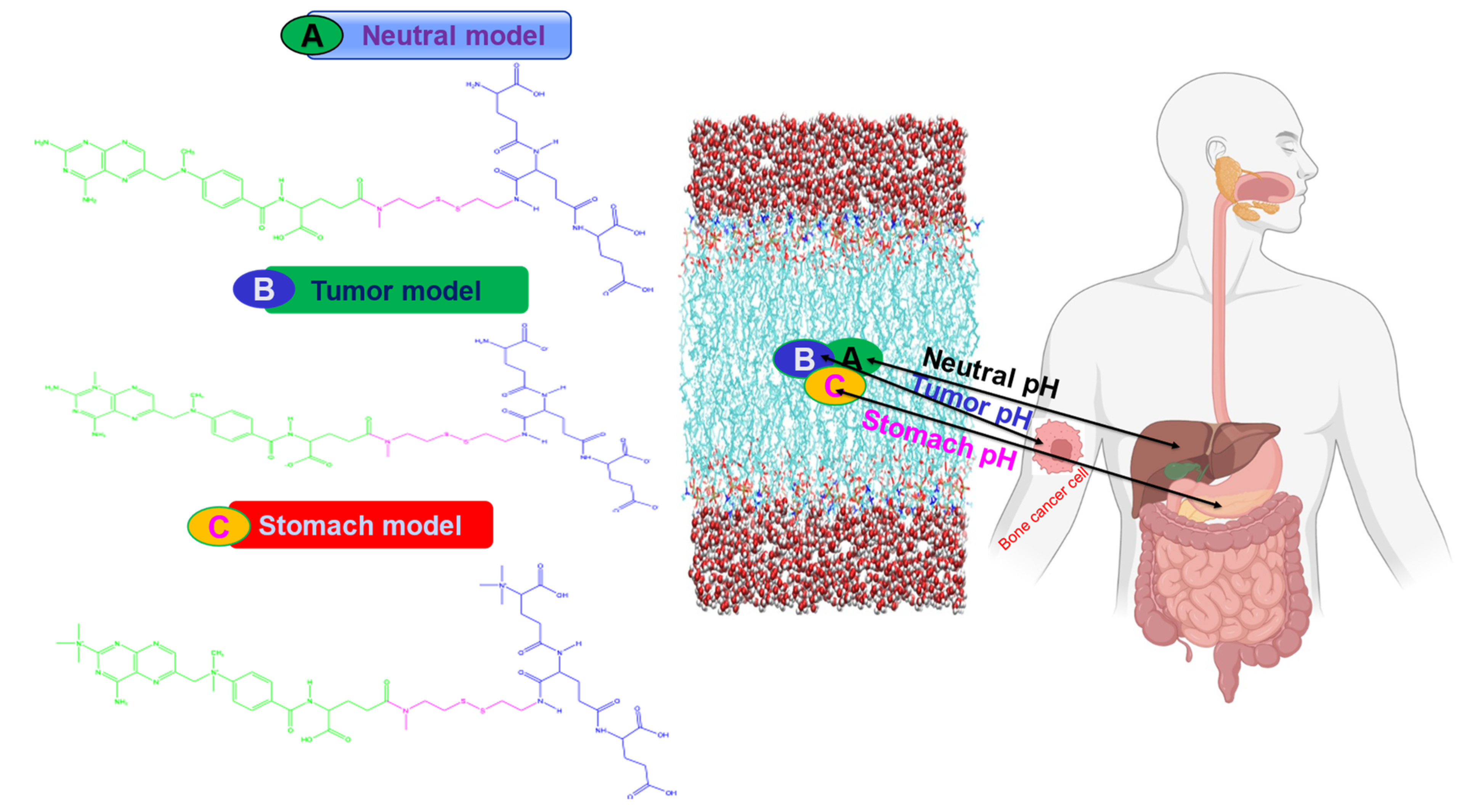 Ijms 24 03479 g011 Ijms 24 03479 g011
