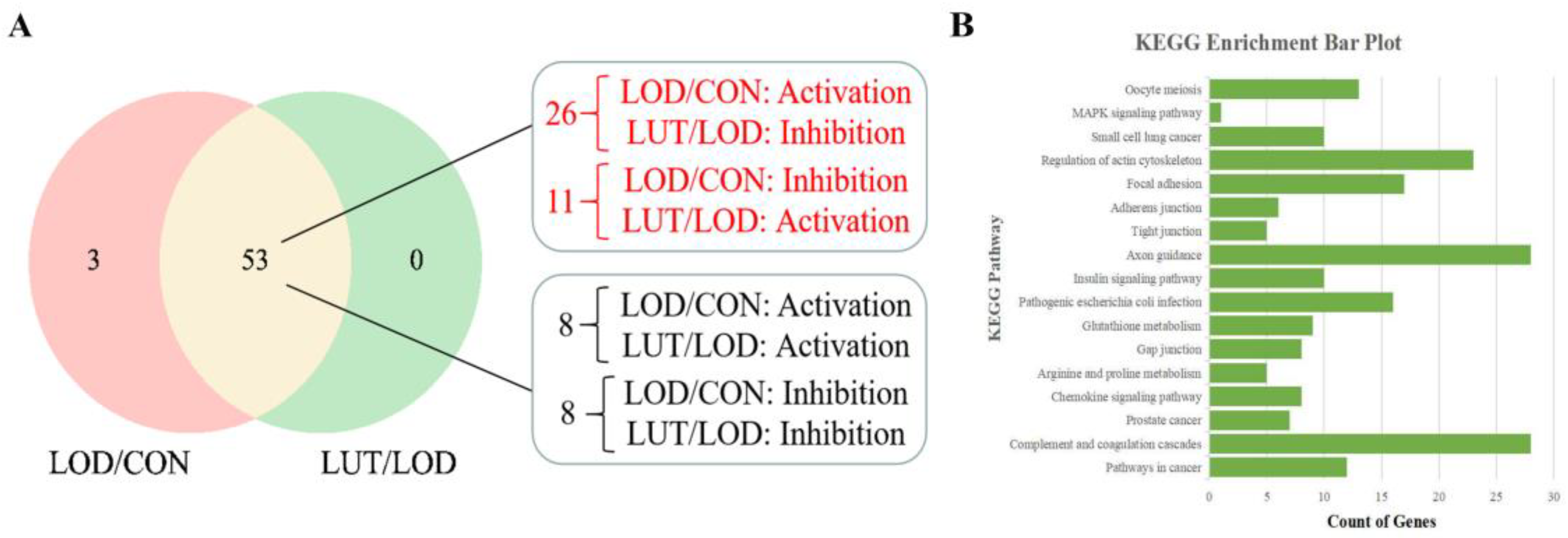 Ijms 24 03485 g006 Ijms 24 03485 g006