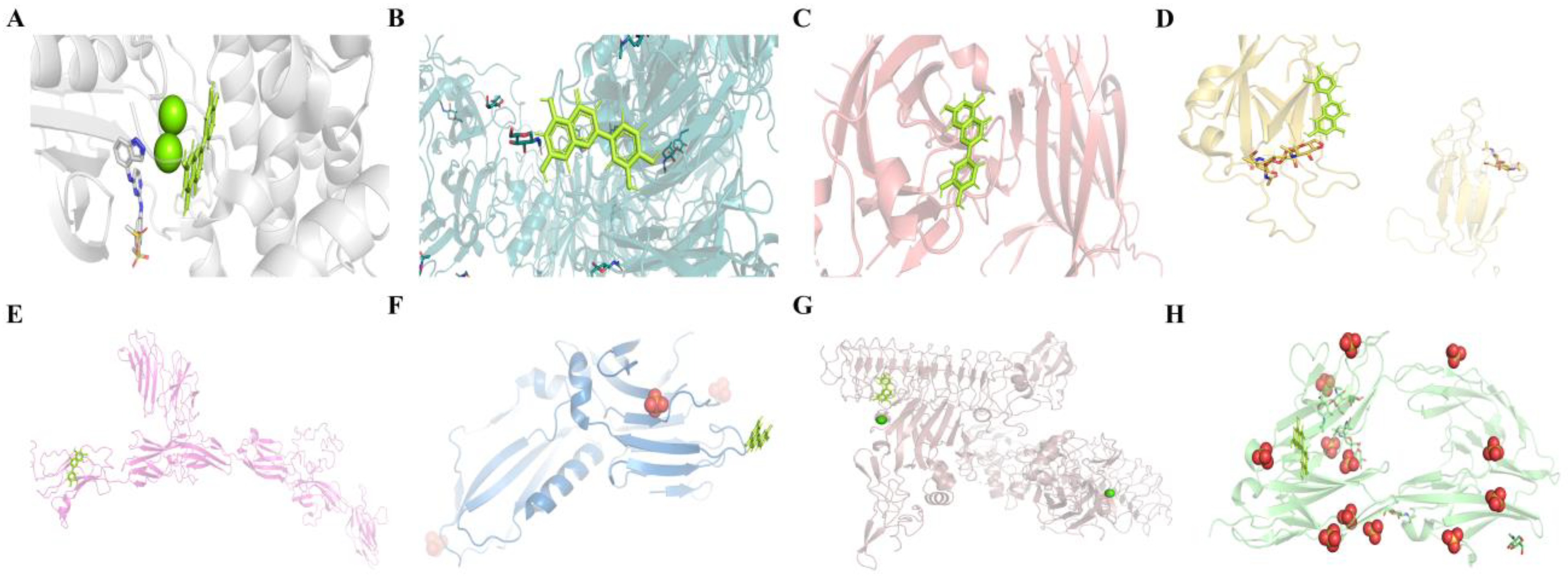 Ijms 24 03485 g010 Ijms 24 03485 g010
